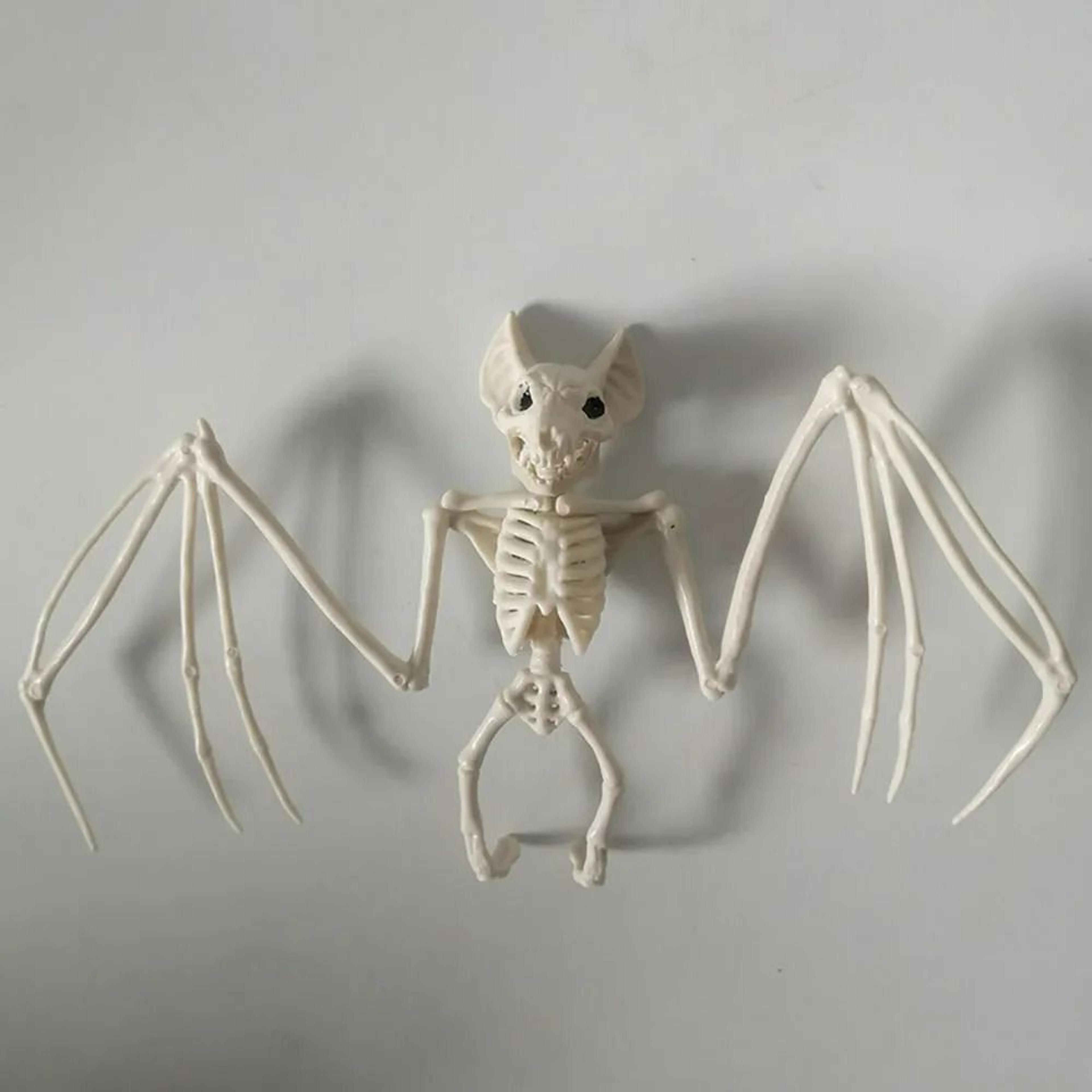 creepy bat skeleton model & halloween animal bones prop