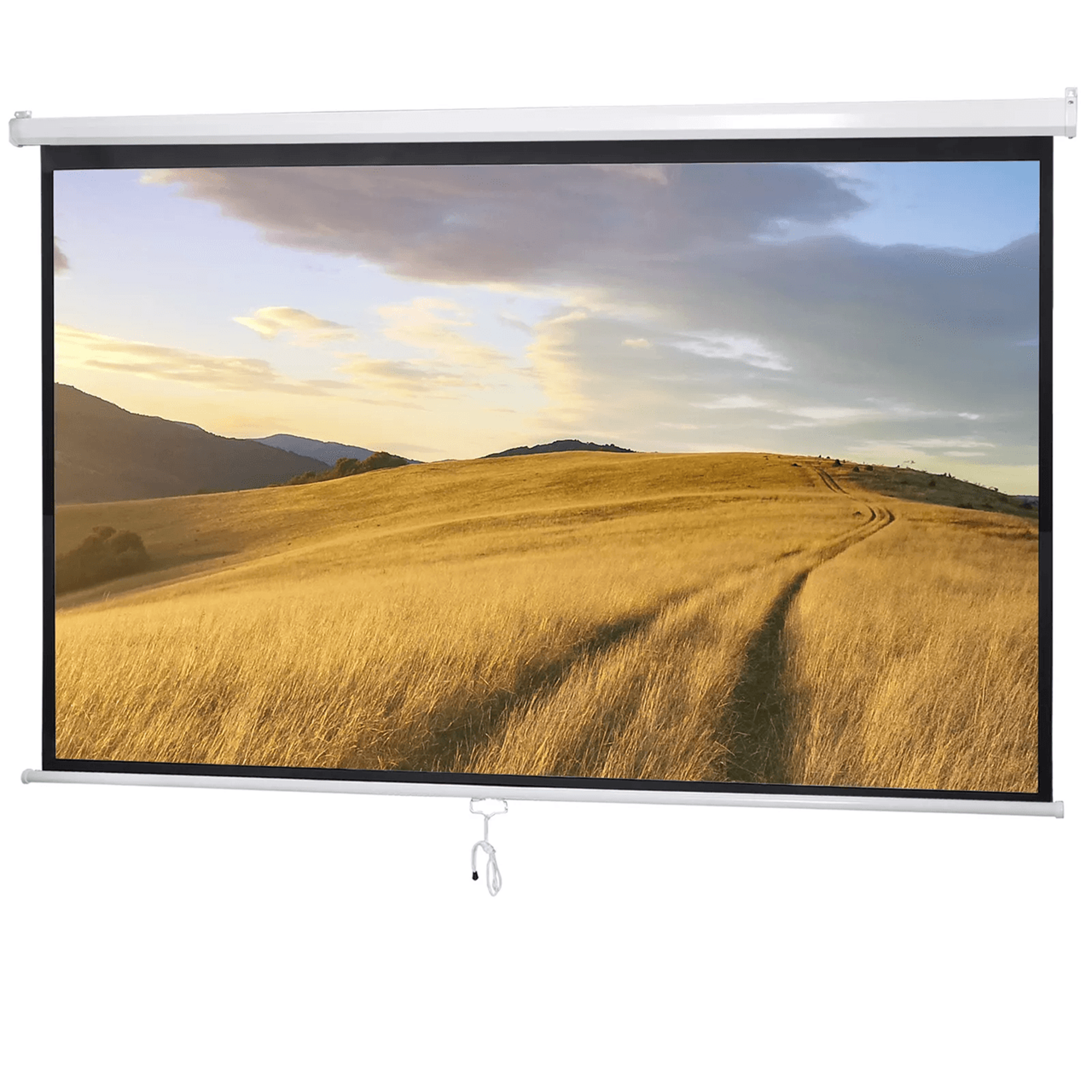 100 inch pull down projector screen for home theater and hd viewing