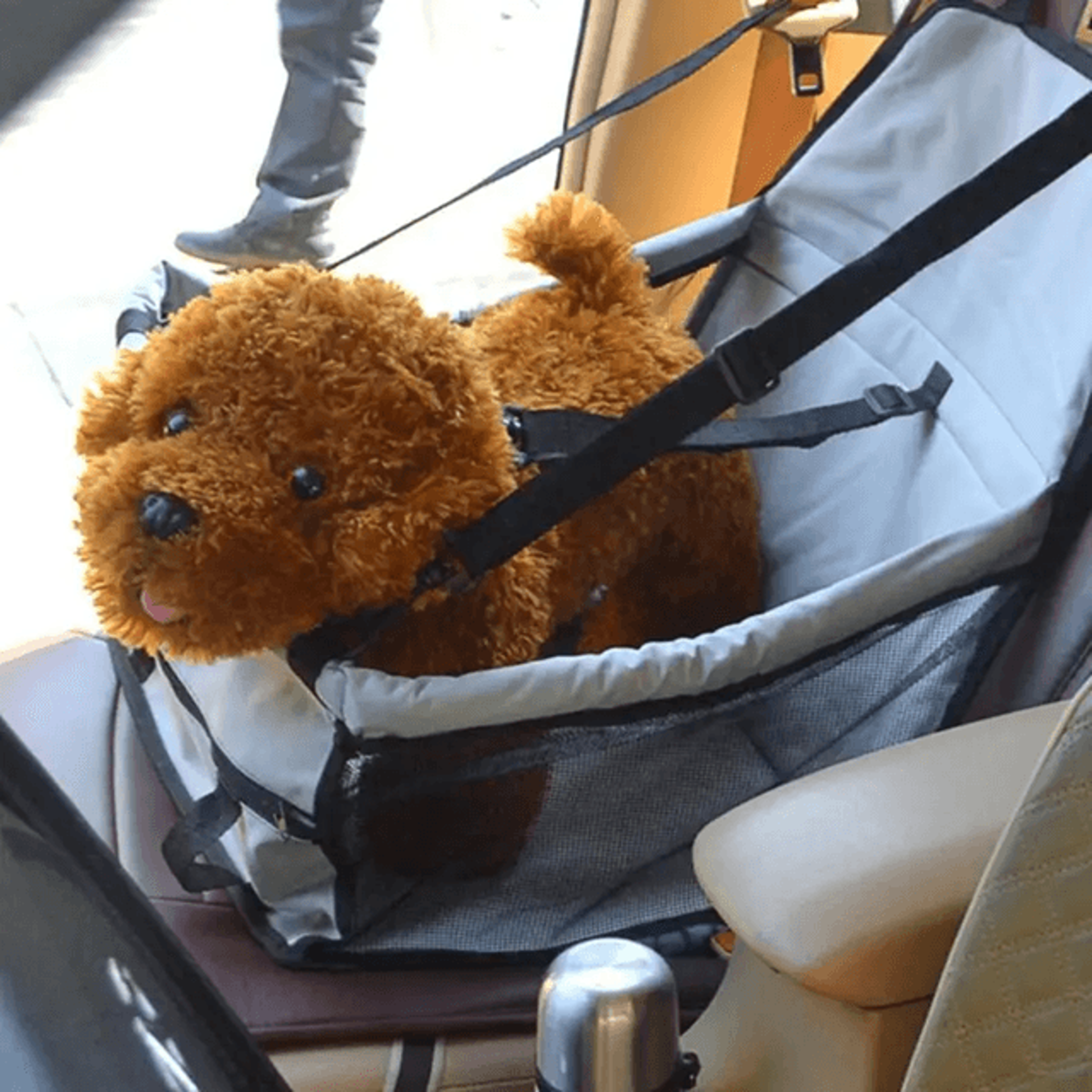 folding pet carrier bag waterproof dog and cat travel seat basket