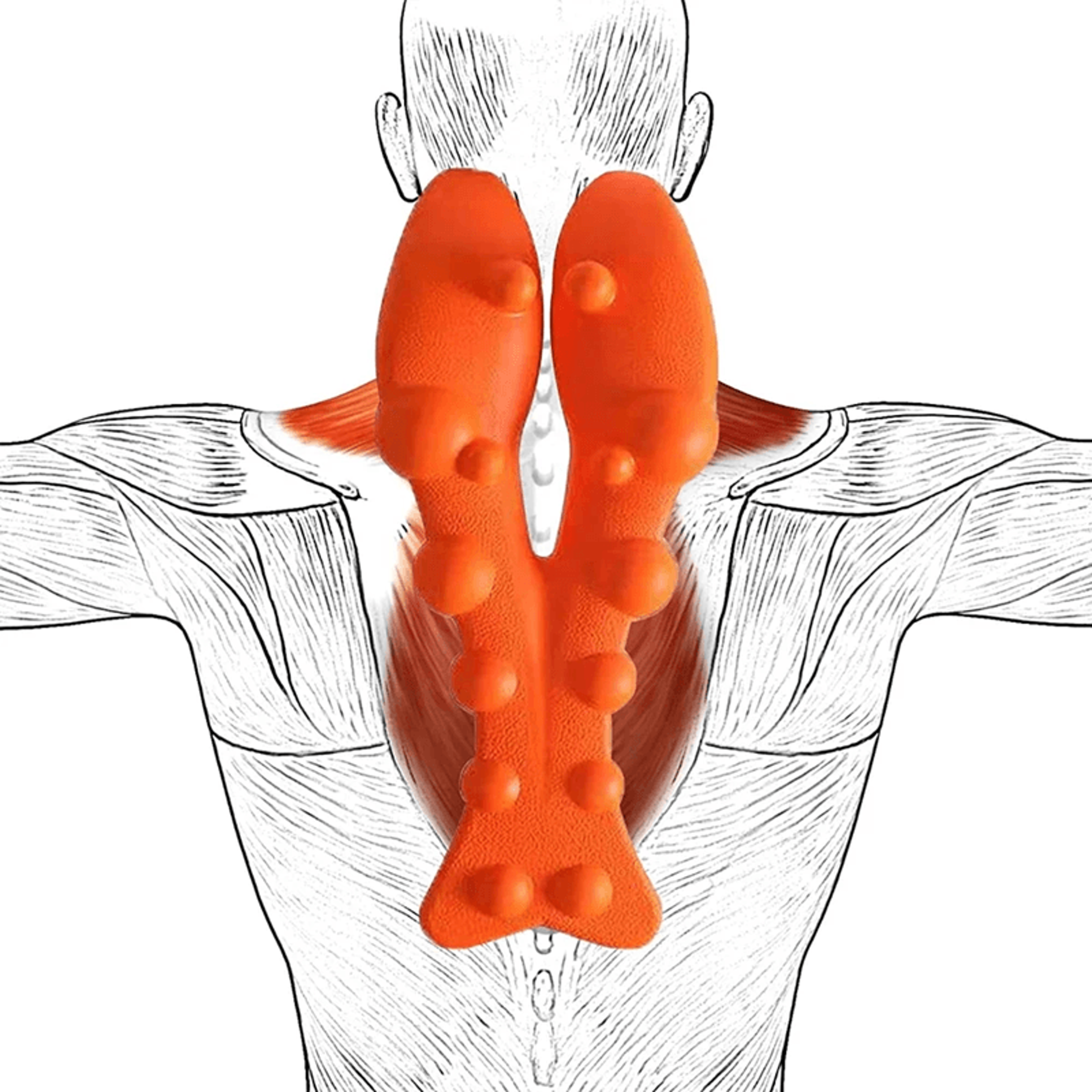 spineease cervical neck and shoulder relaxer