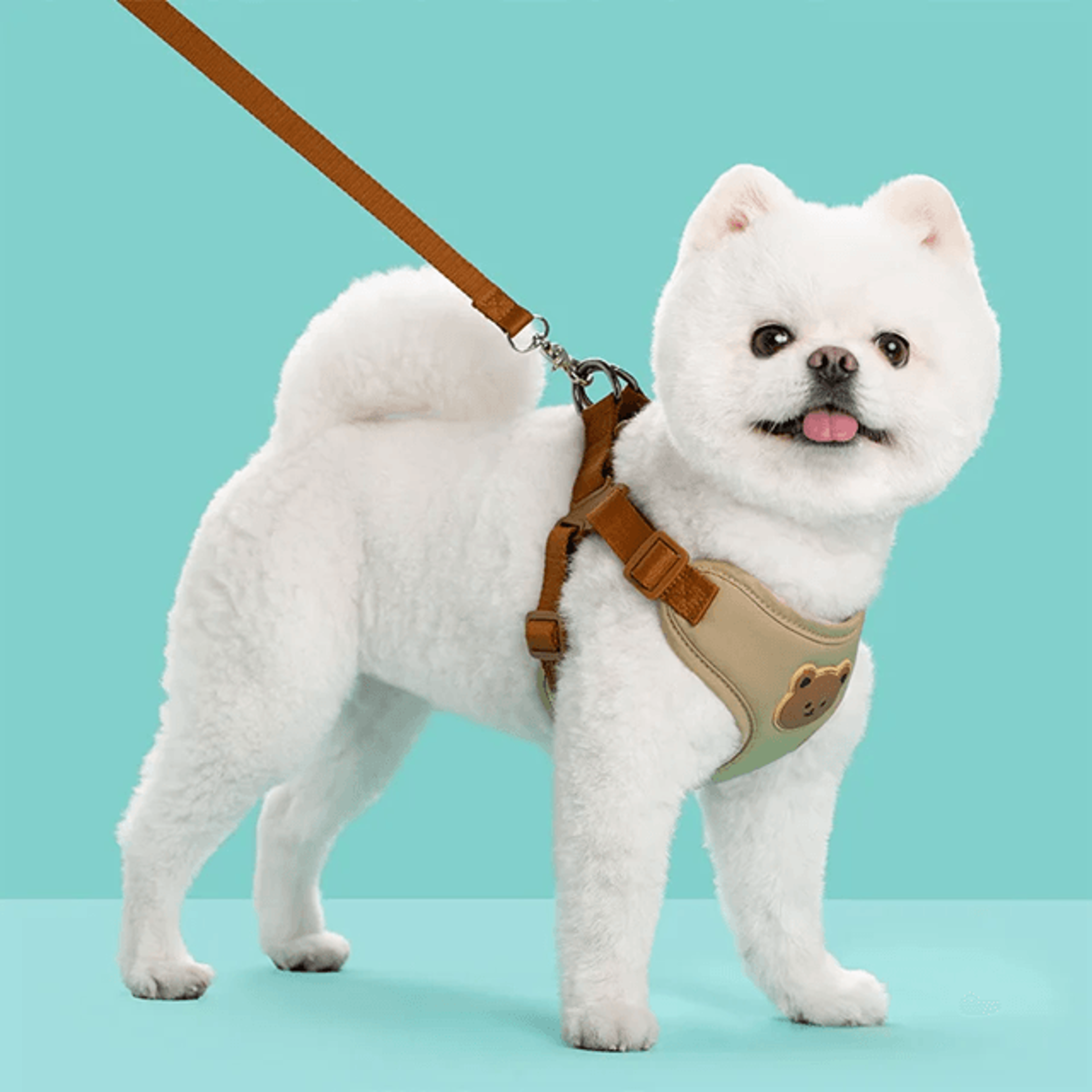 pawease breathable dog harness and leash set