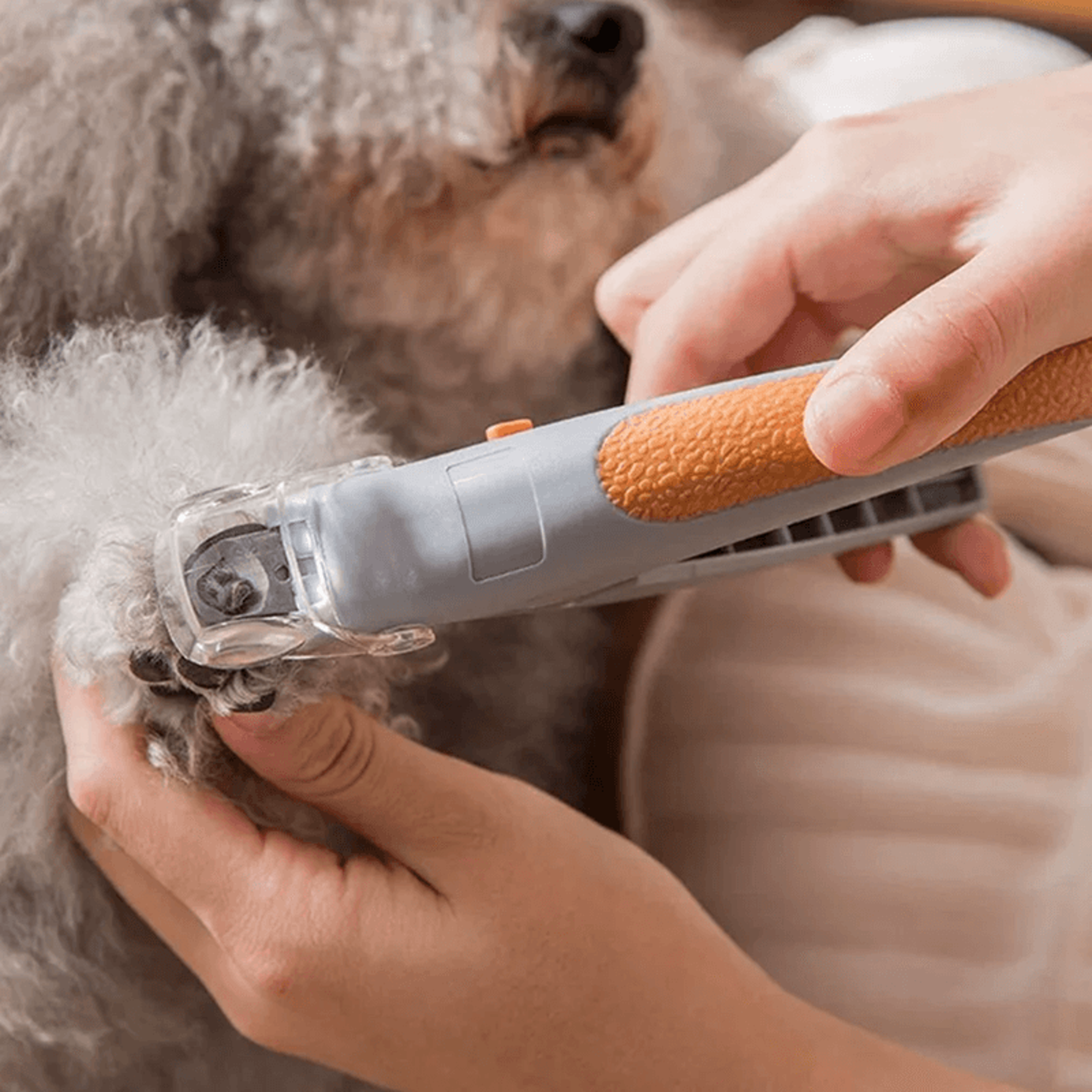pawbright led pet nail clippers with magnifier