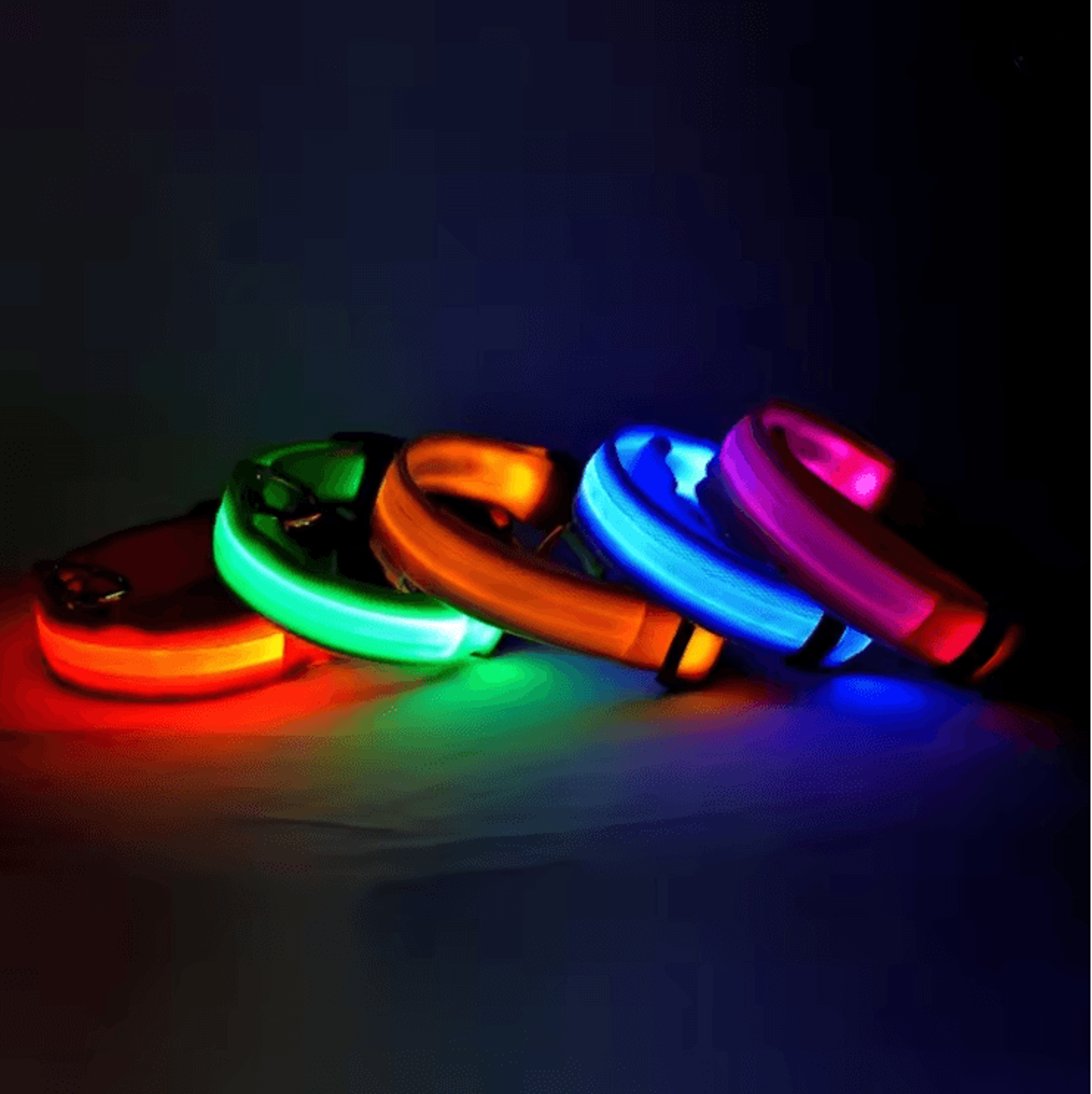 glowguard led dog leash and collar set