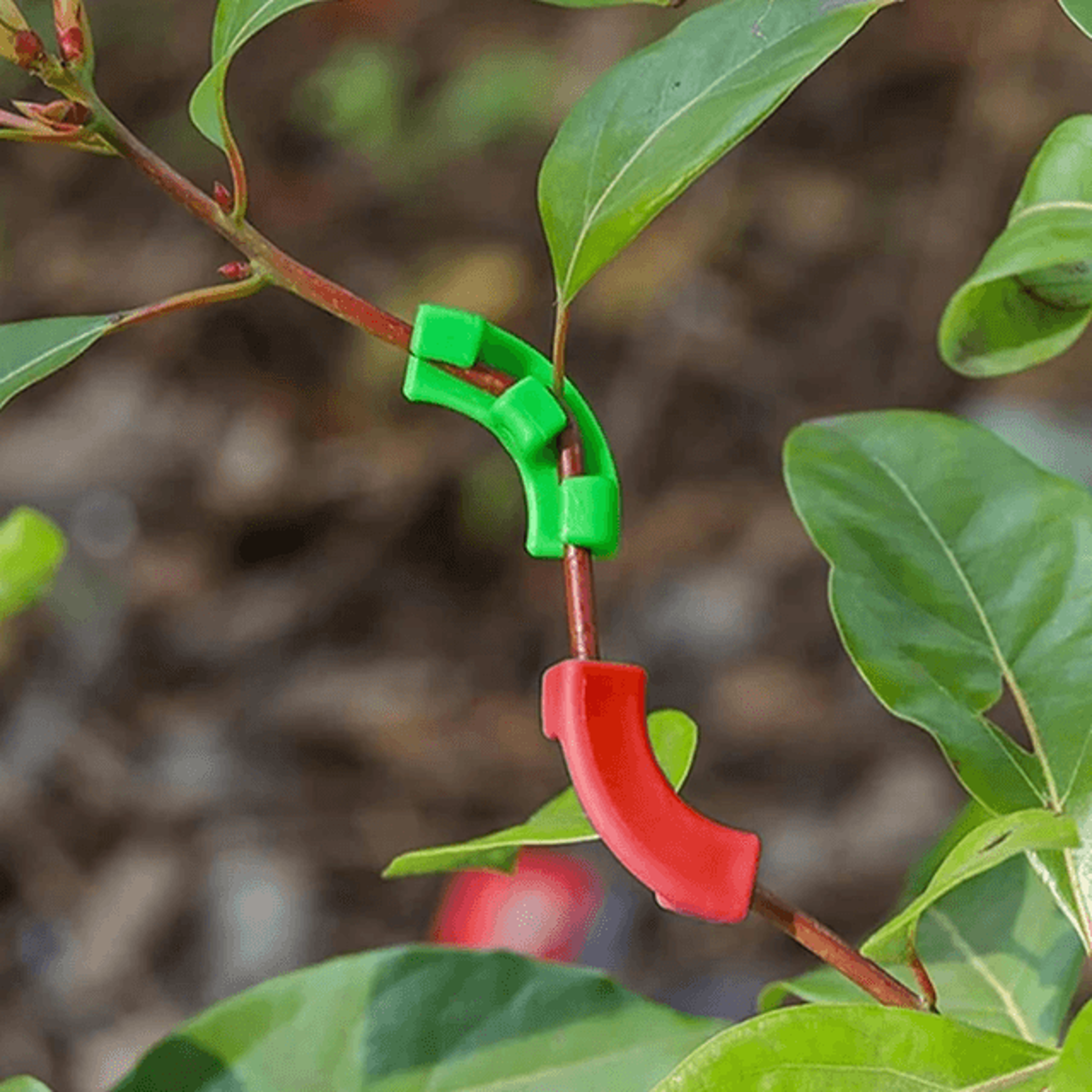 GrowSculpt Plant Bender Clips Set – Branch Trainer & Plant Shaping Device