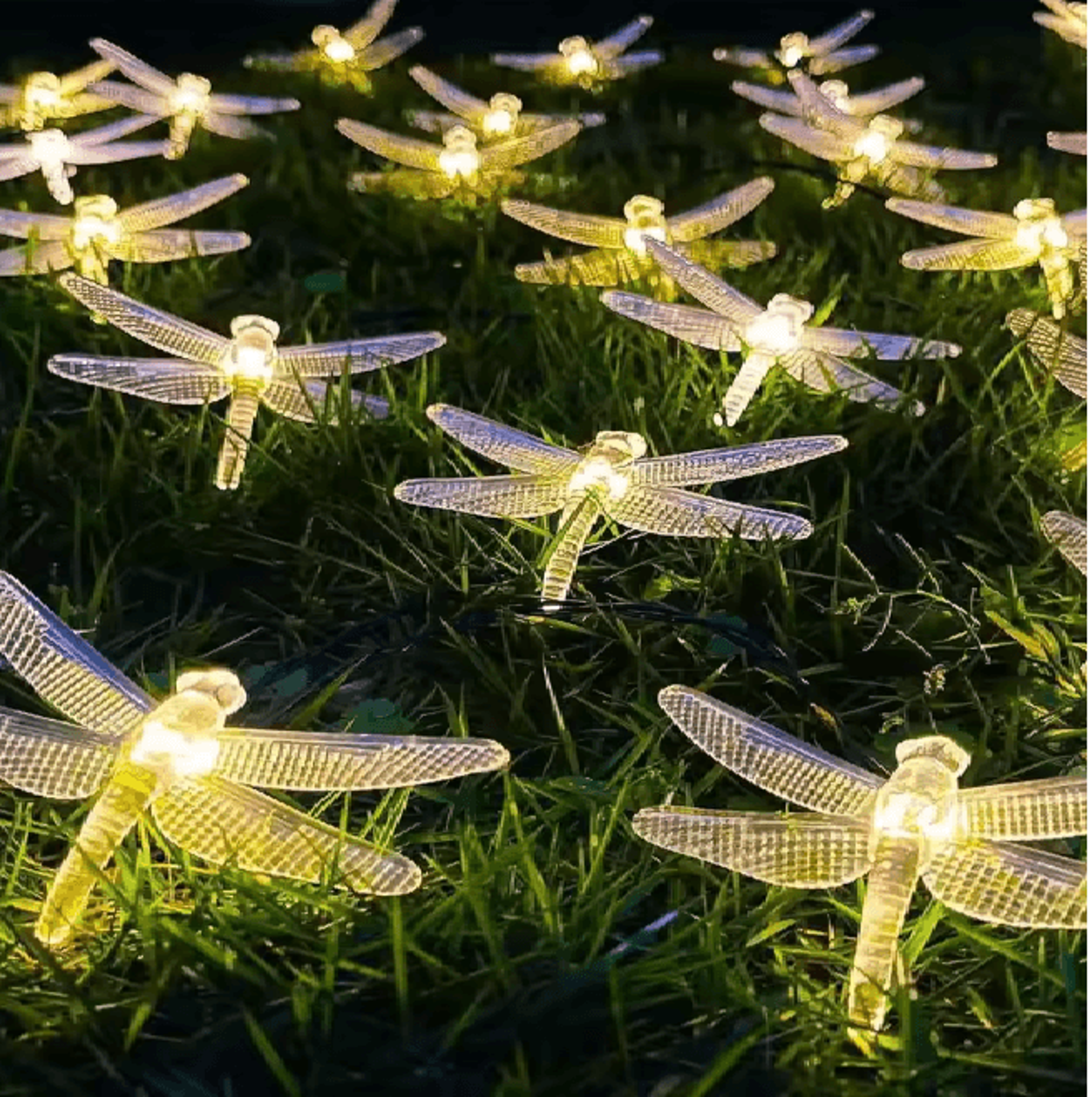 fairyglow battery powered string light