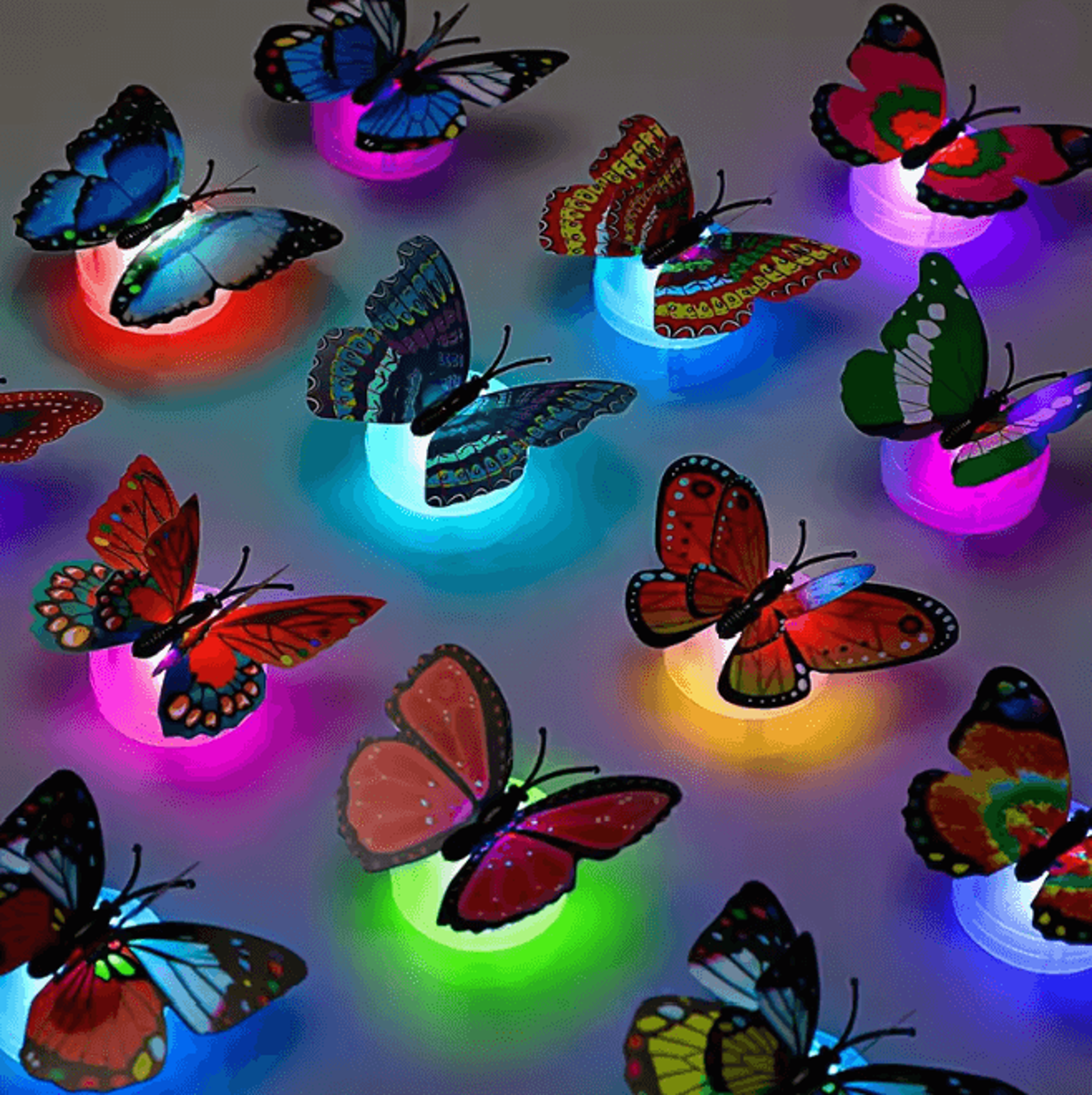 led butterfly wall night light set