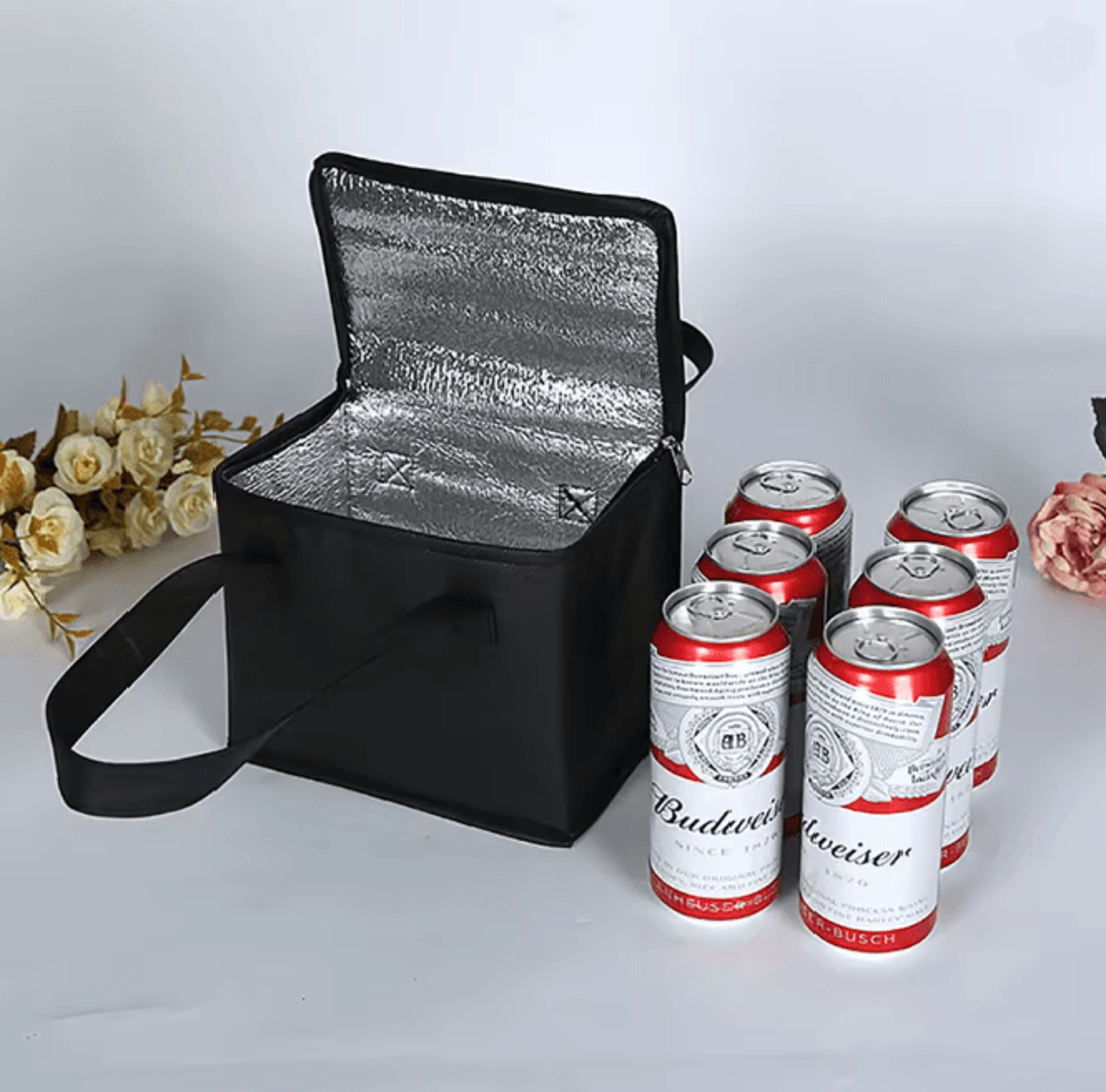 portable insulated lunch and cooler bag