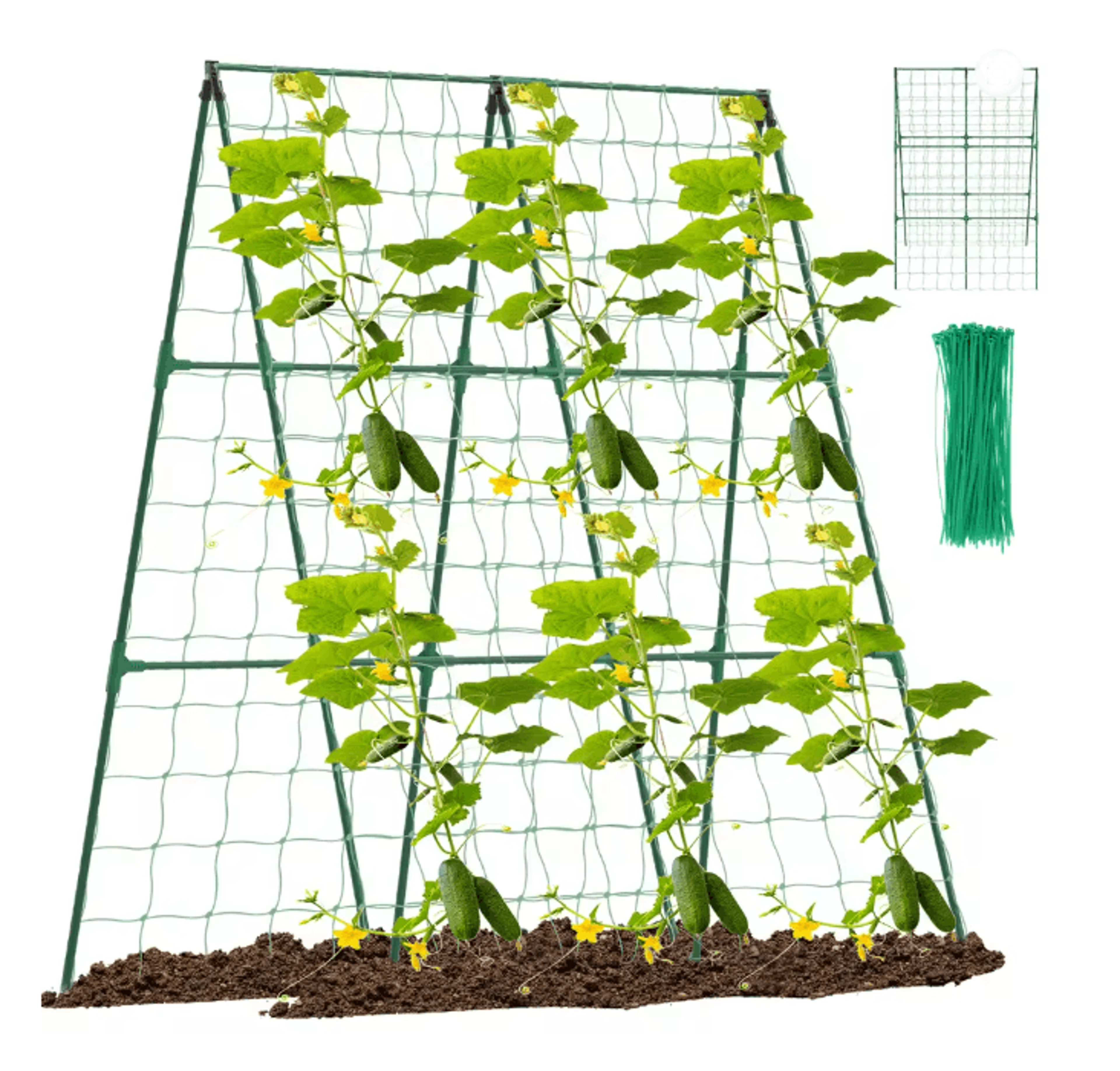 a frame garden plant trellis for cucumber tomato and climbing vegetables