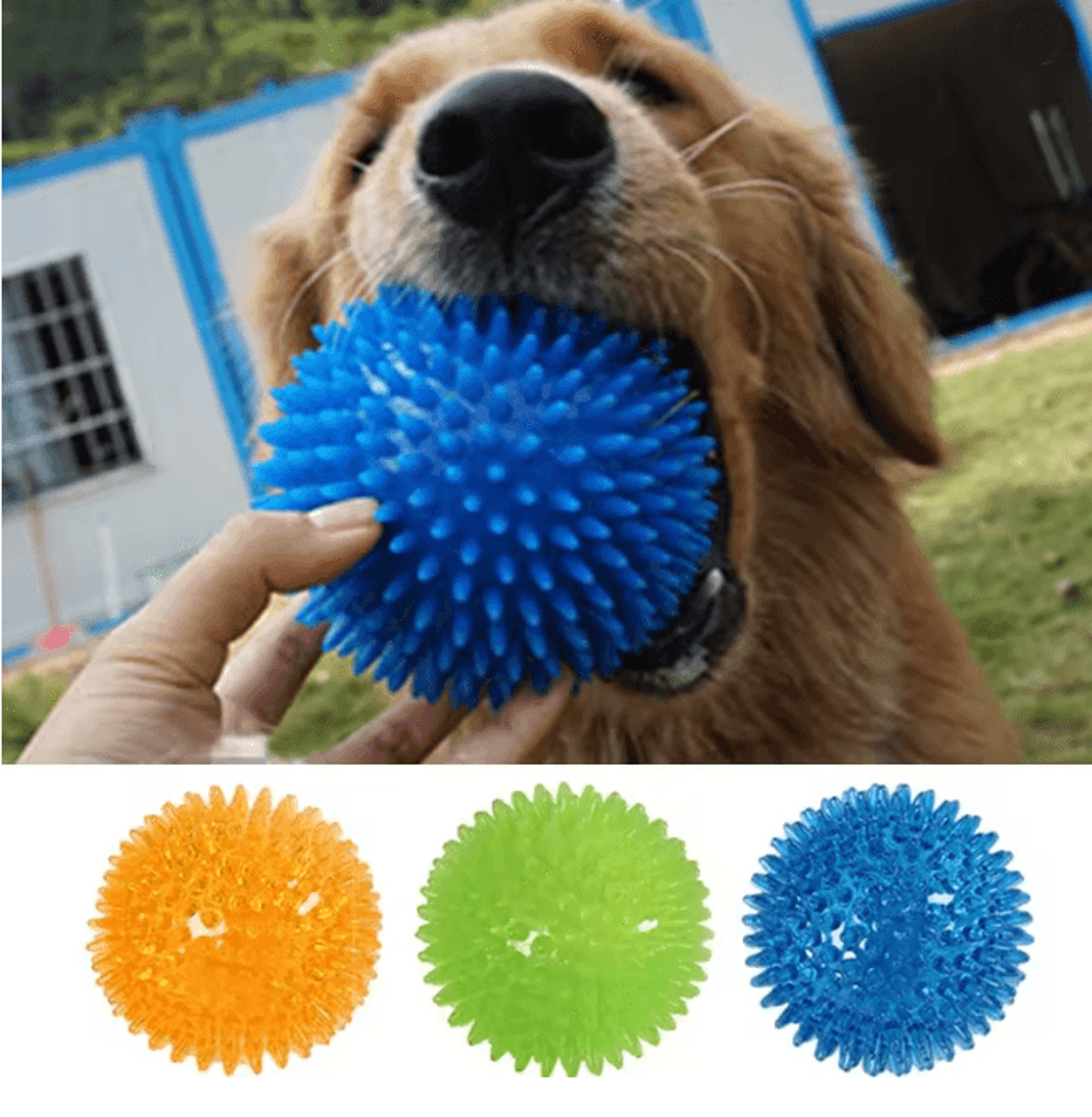Squeaky Chew Ball Dog Toy for Teeth Cleaning and Training