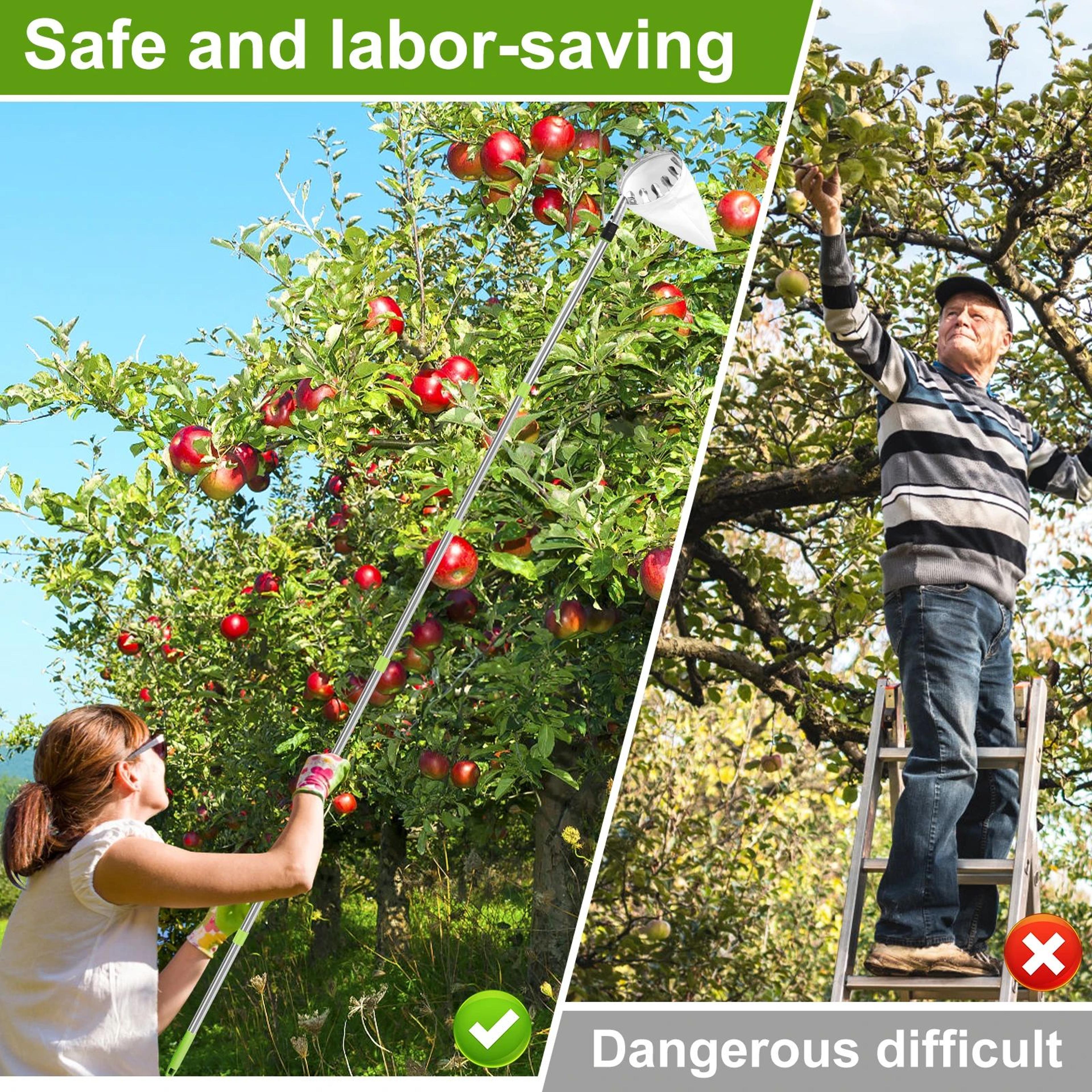 extendable fruit picker tool with basket for easy tree harvesting