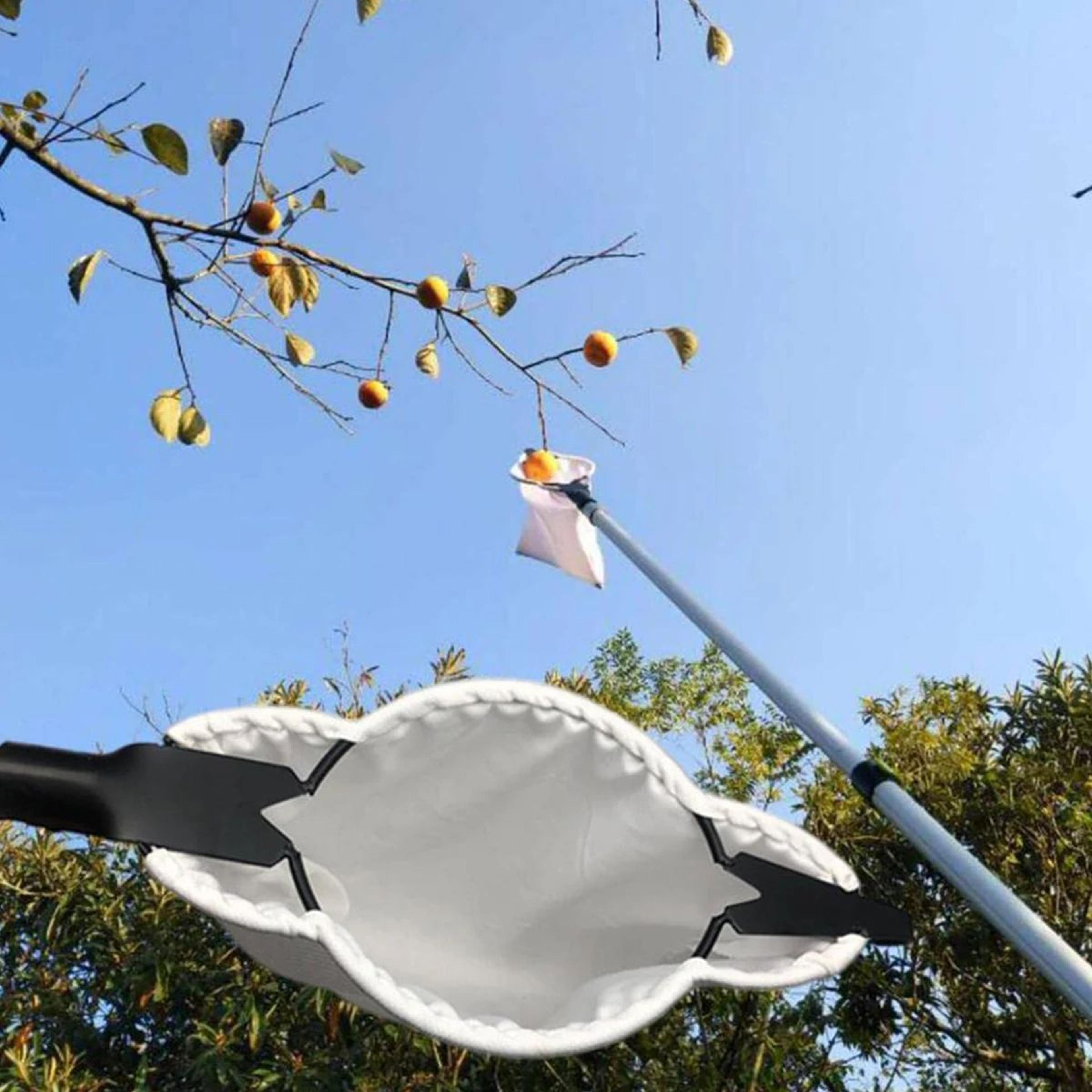 fruit picker tool with blade and catch bag for easy tree harvesting