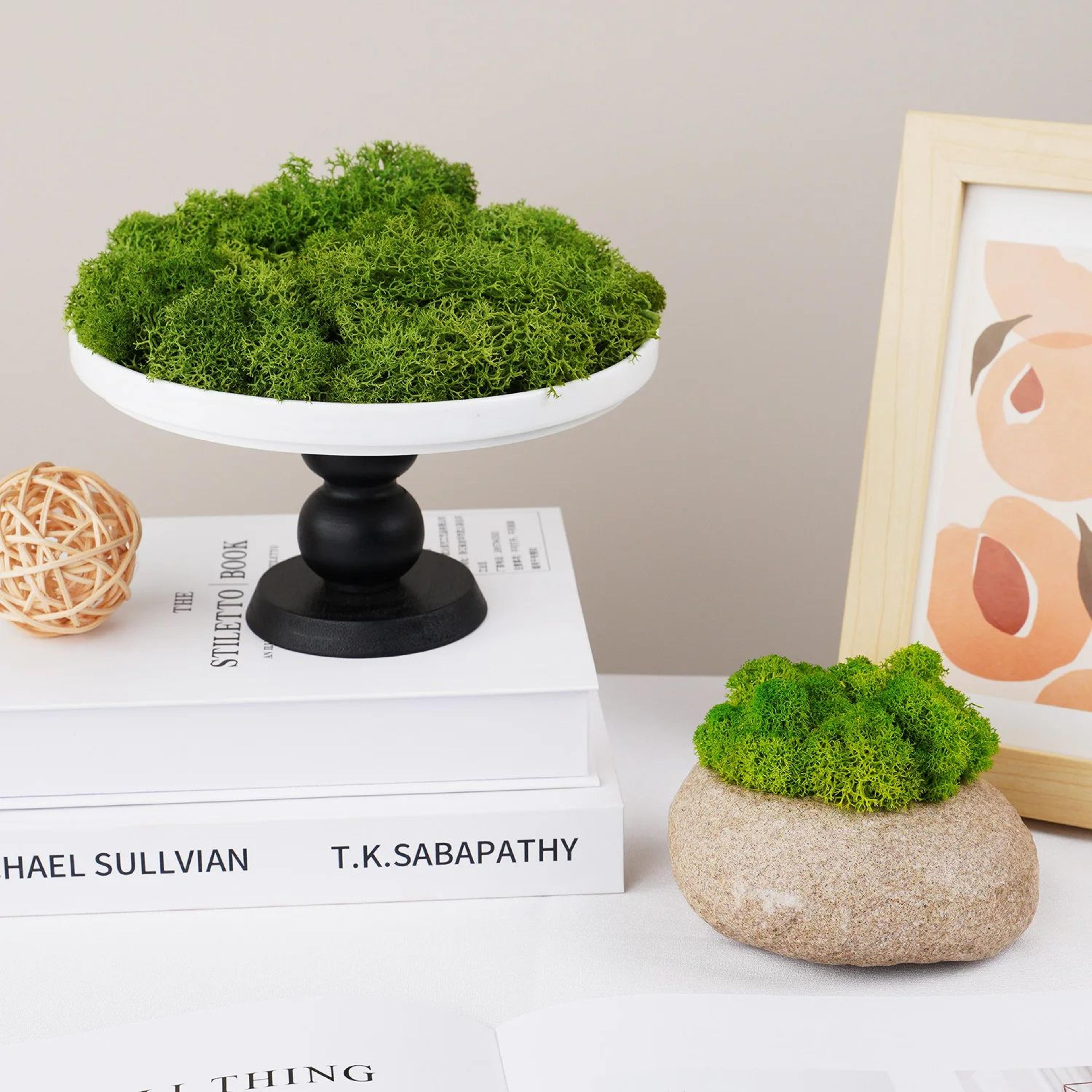 natural green moss decor artificial moss for mini garden and wall design