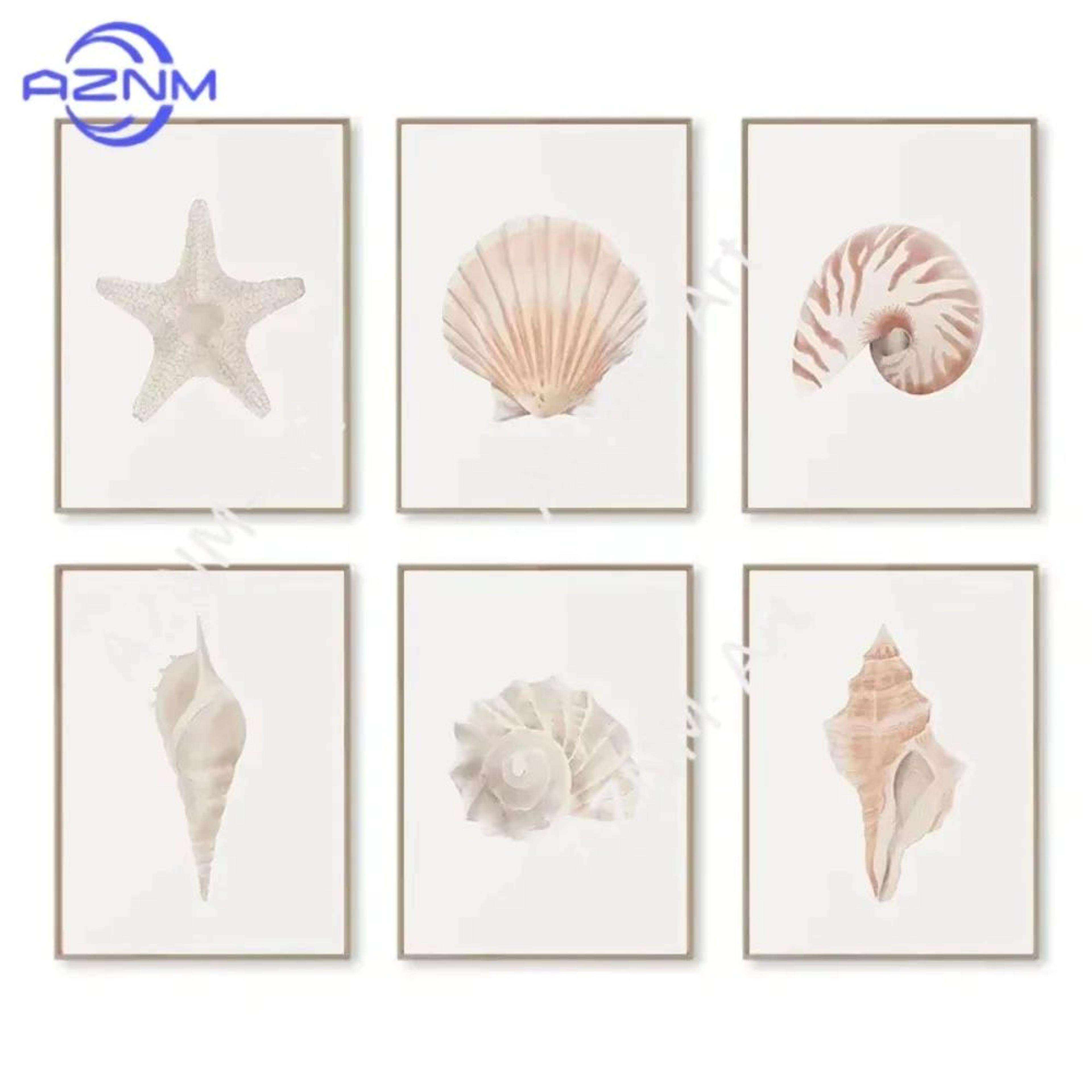 coastal seashell wall art canvas set ocean inspired prints