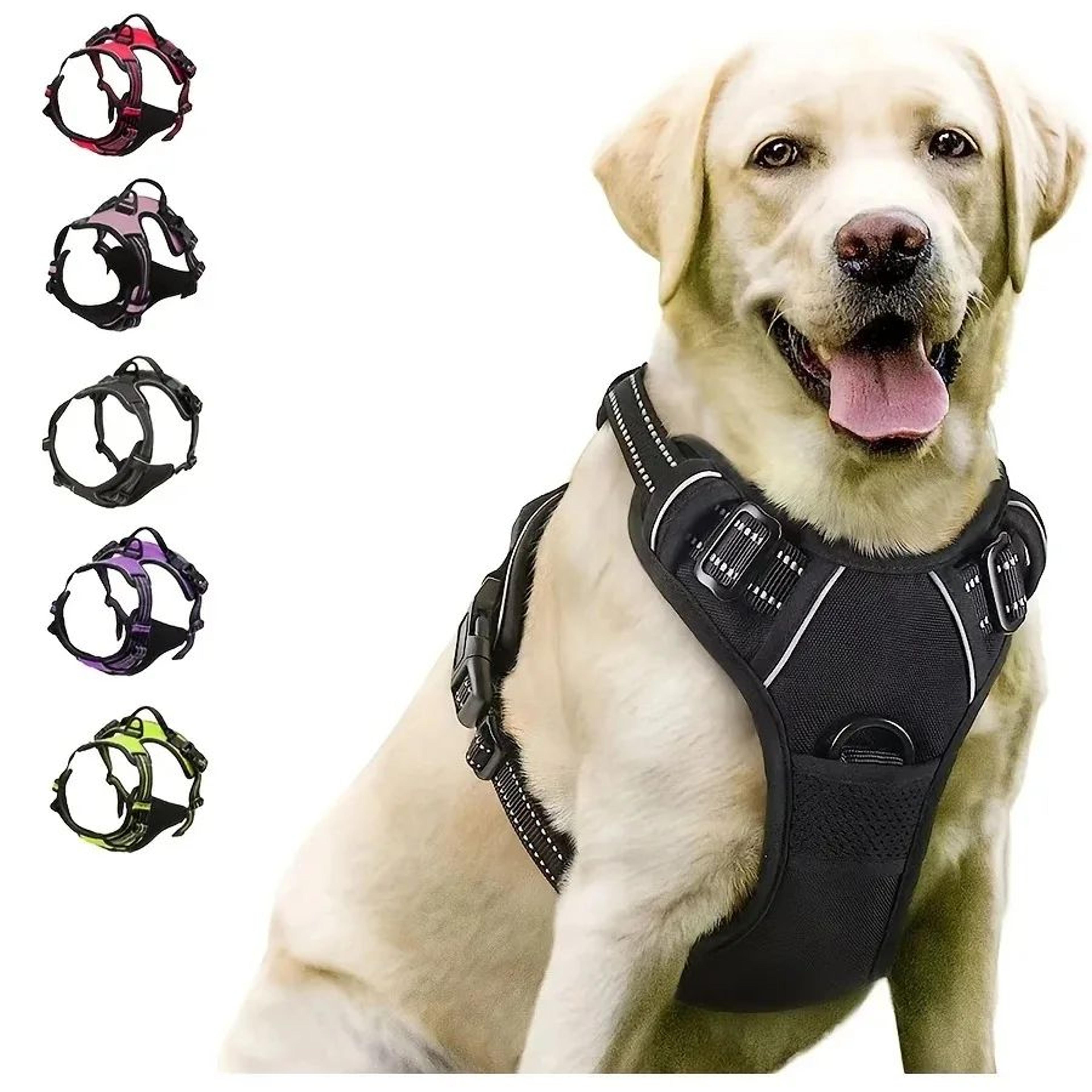comfort fit dog harness and leash set for small and medium dogs
