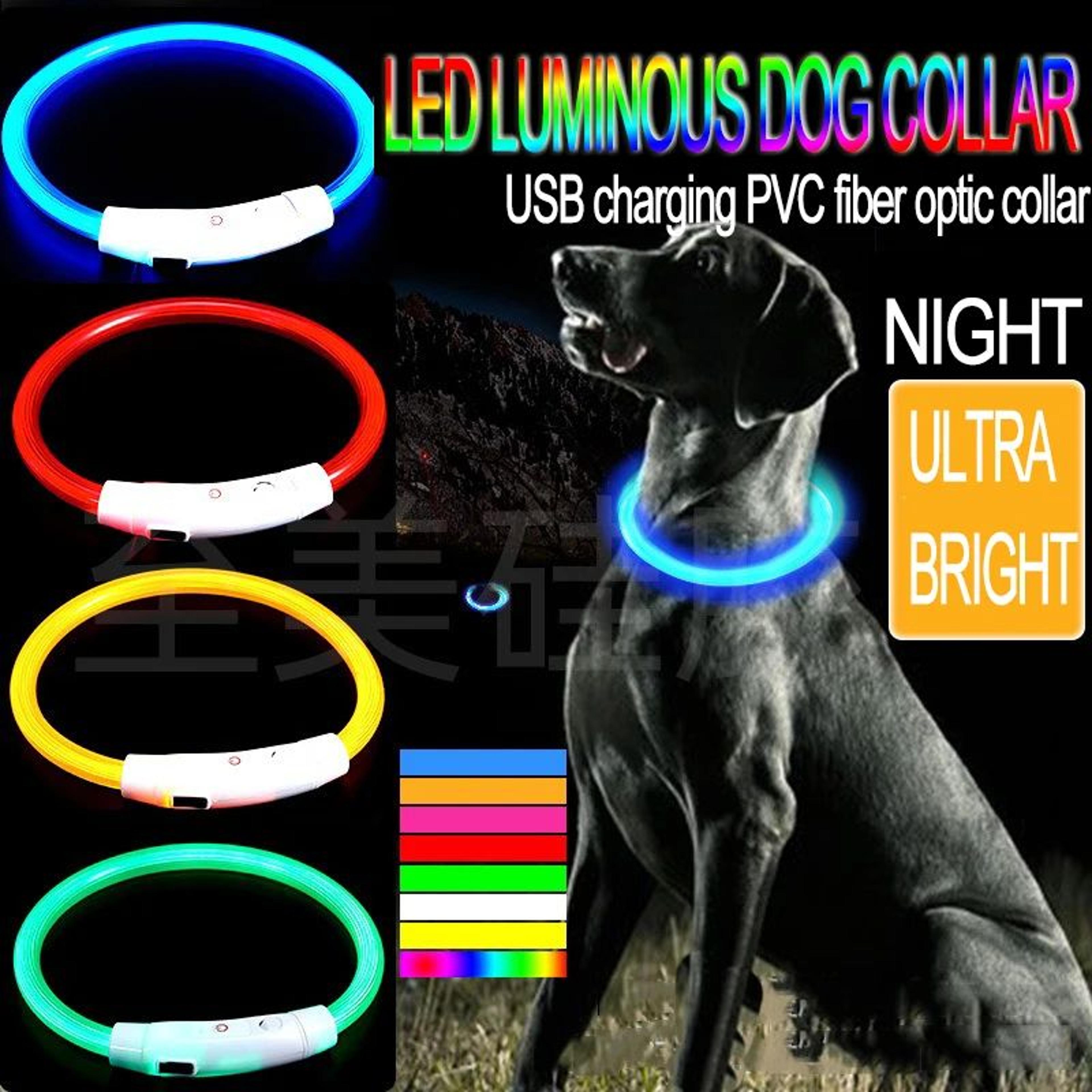 glowing led dog collar for night safety and visibility