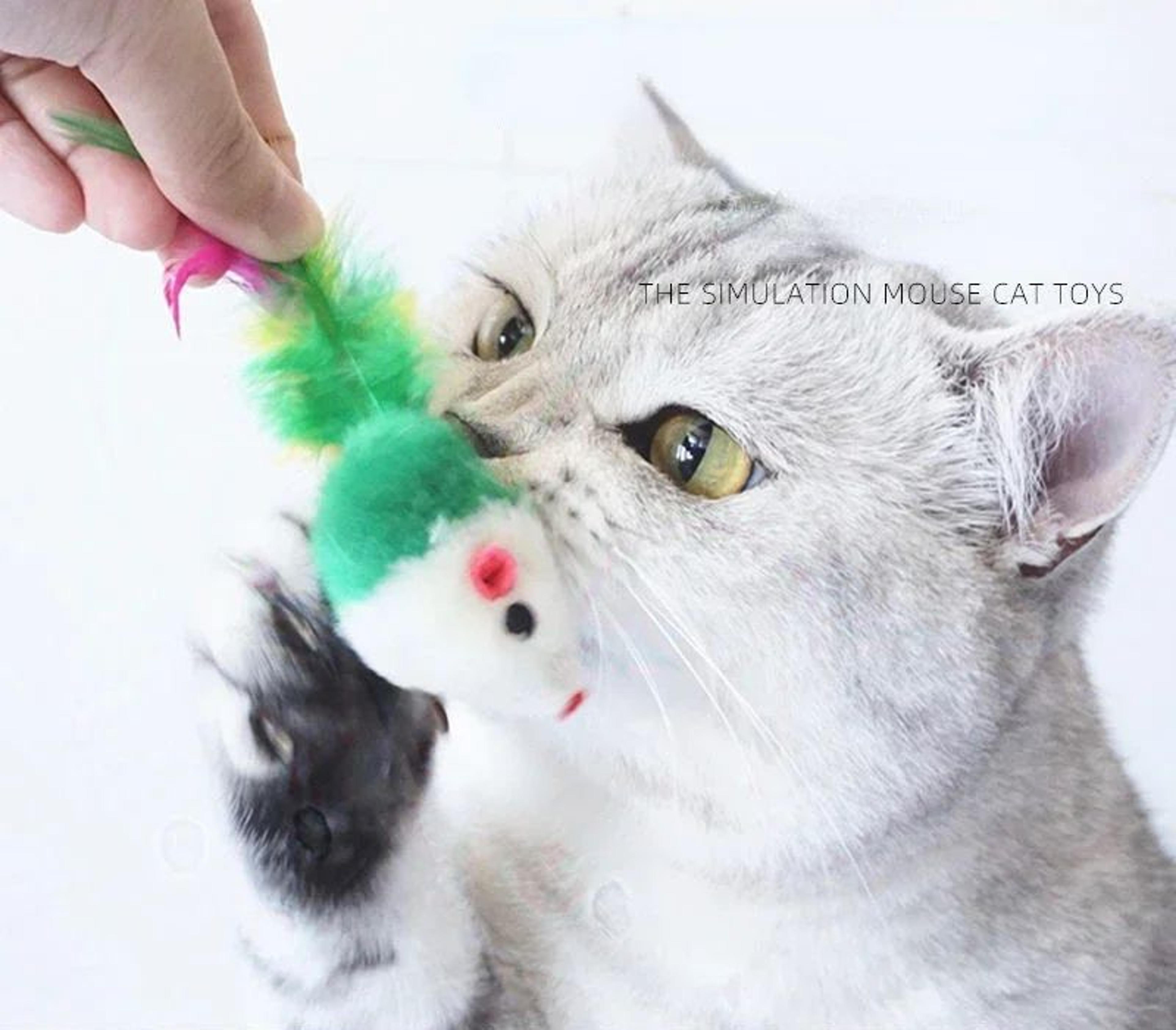 featherpounce mouse cat toy set