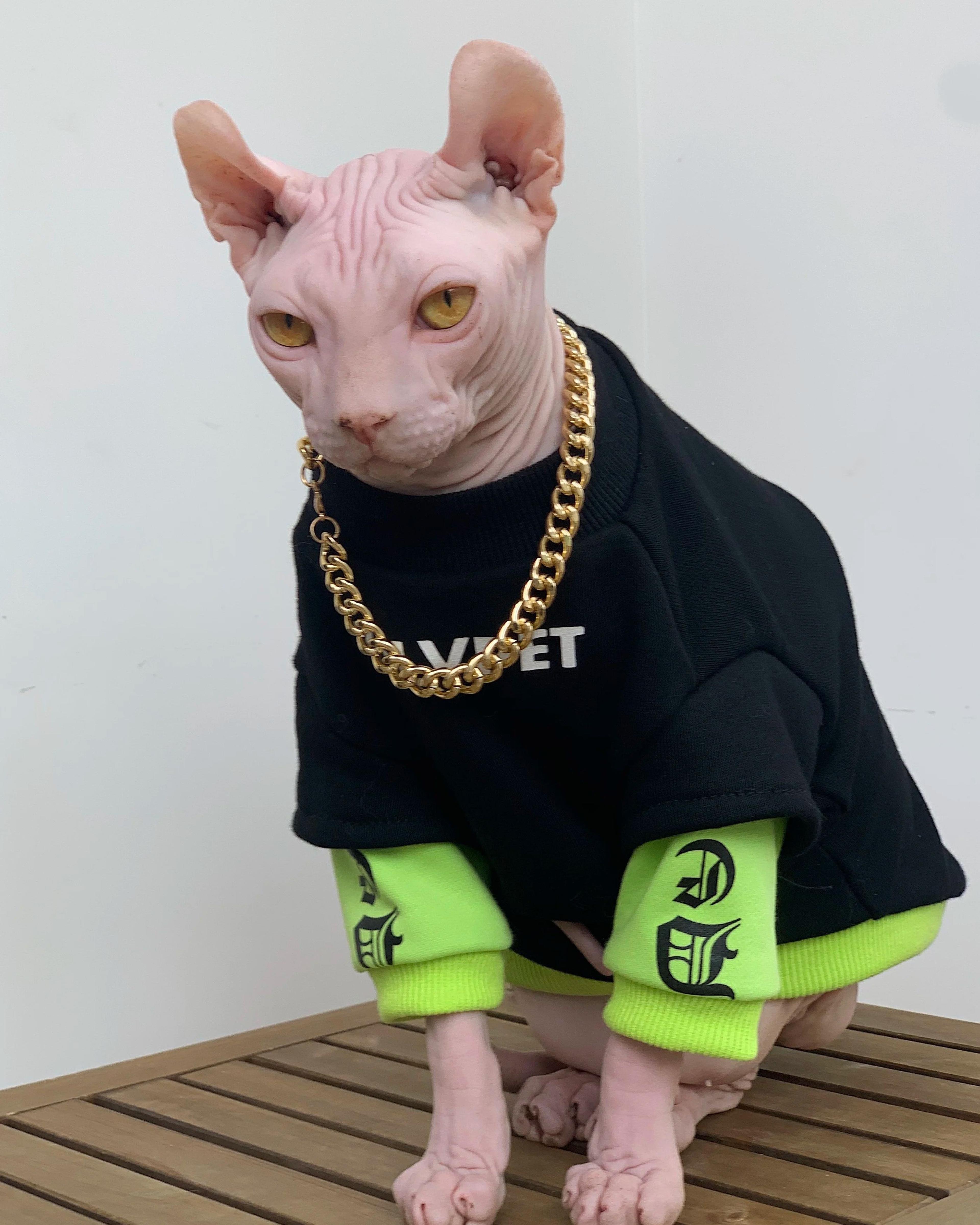 cozyfit cotton sweatshirt for sphynx cats and devon rex