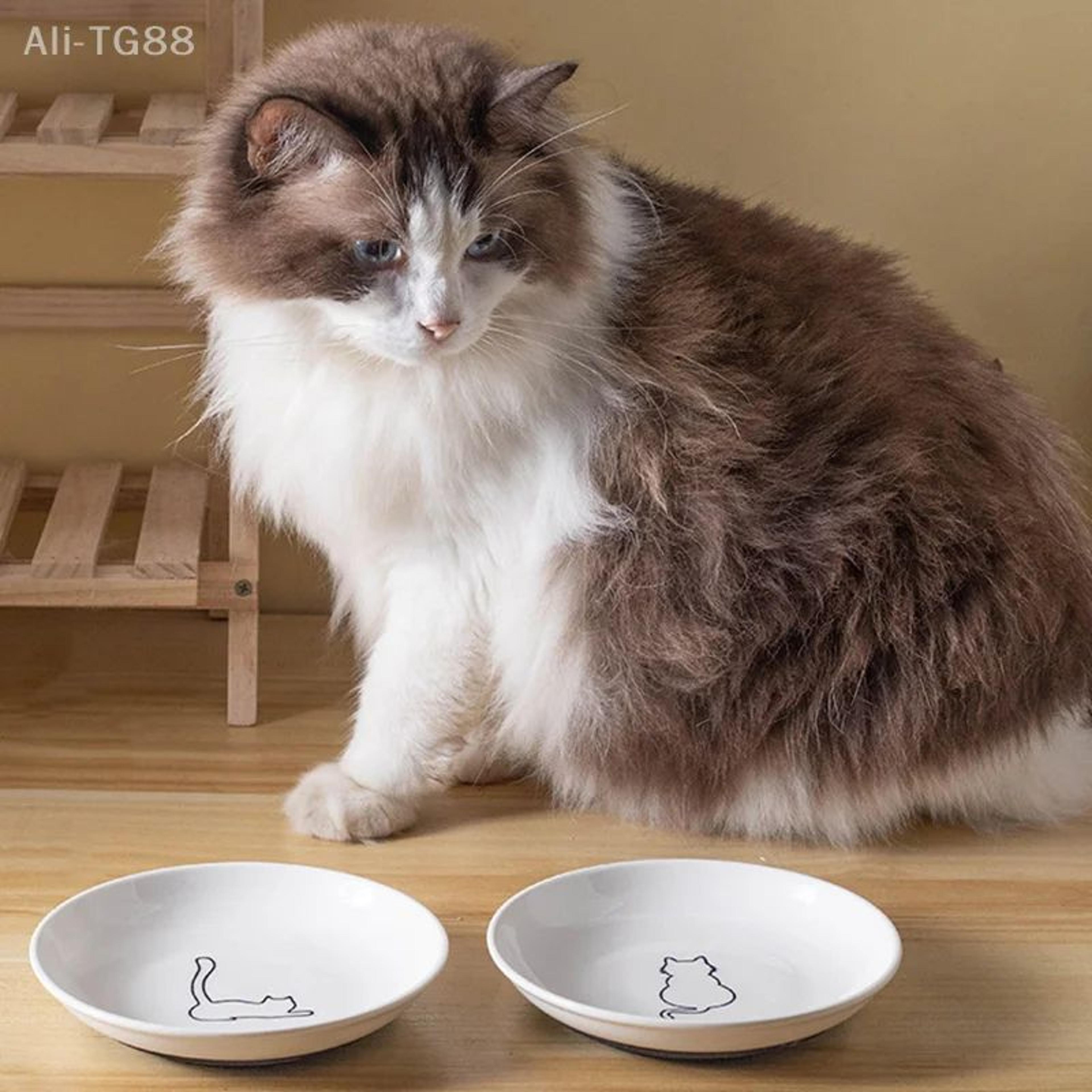 premium ceramic cat feeding bowl with non slip silicone mat