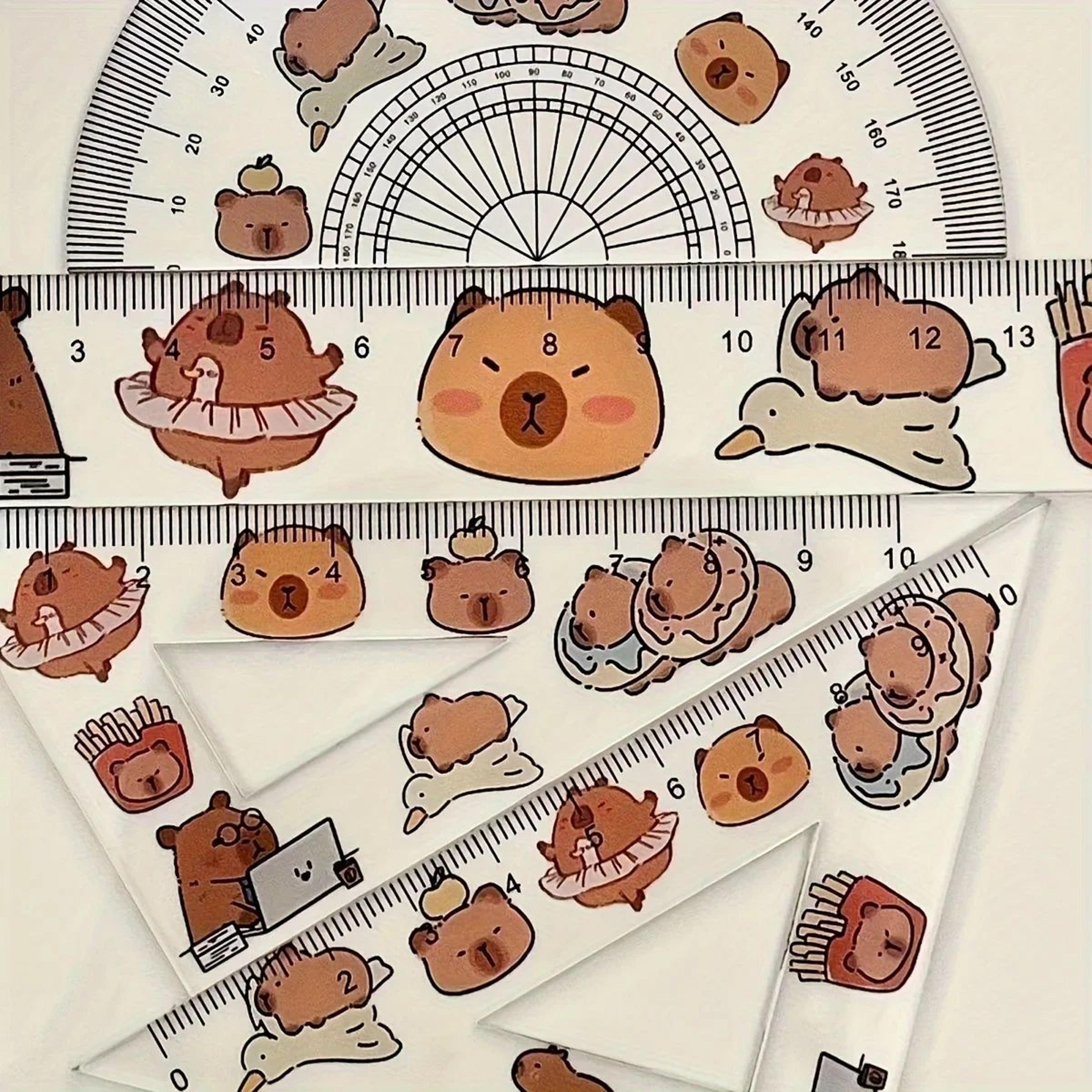 capybara geometry ruler set