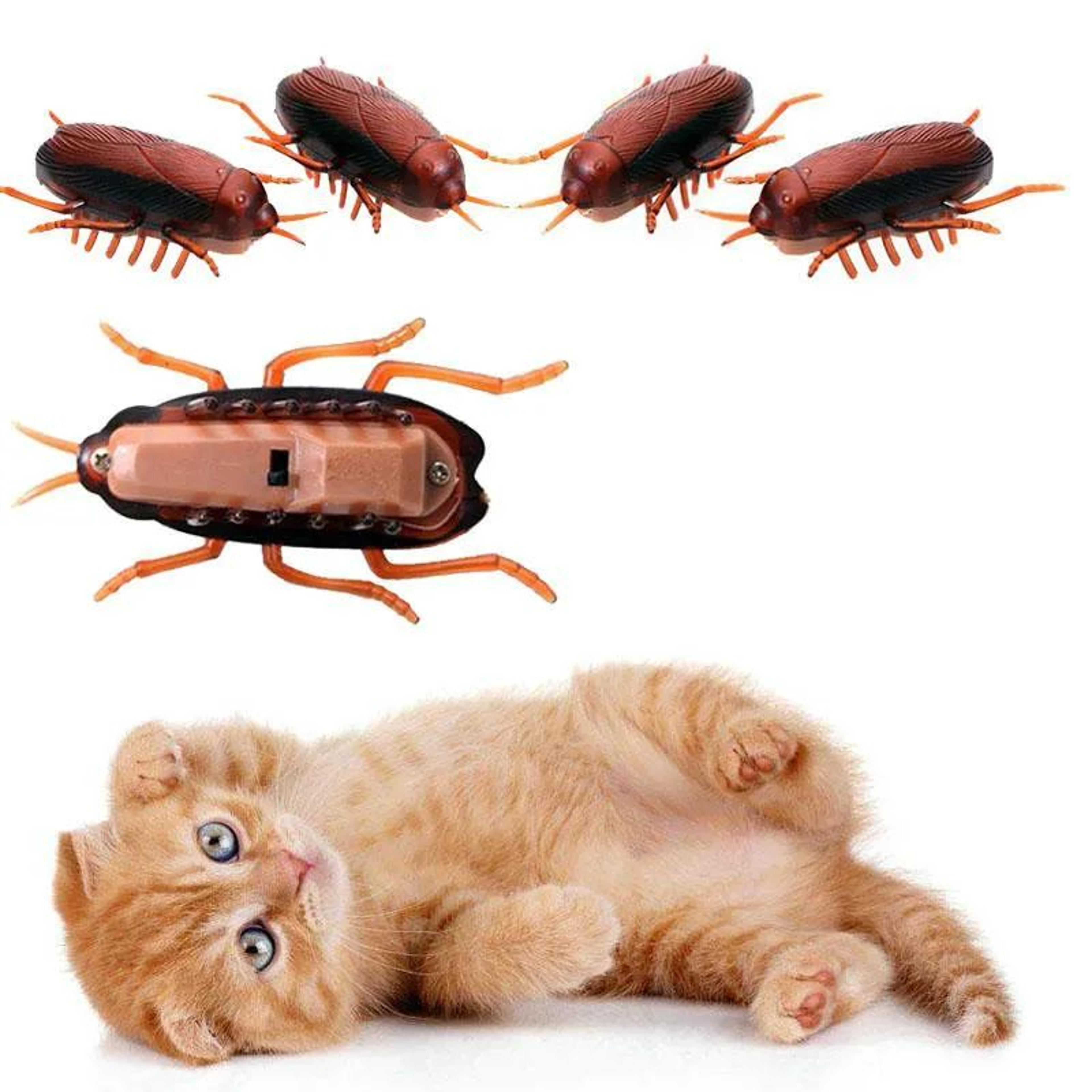 electronic running cockroach cat toy interactive battery powered pet chase toy