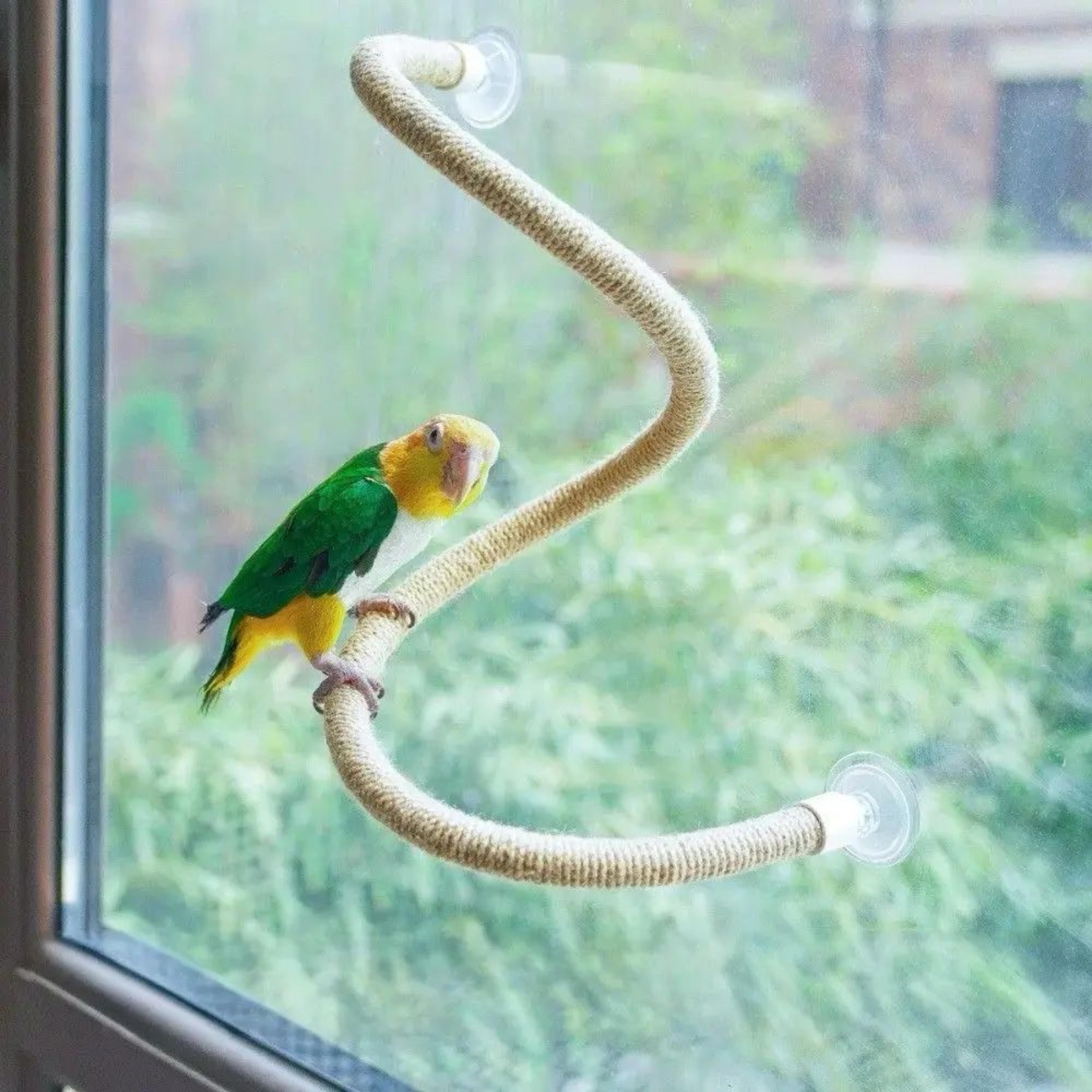 flexible bird climbing rope perch with suction cup non slip bird perch toy