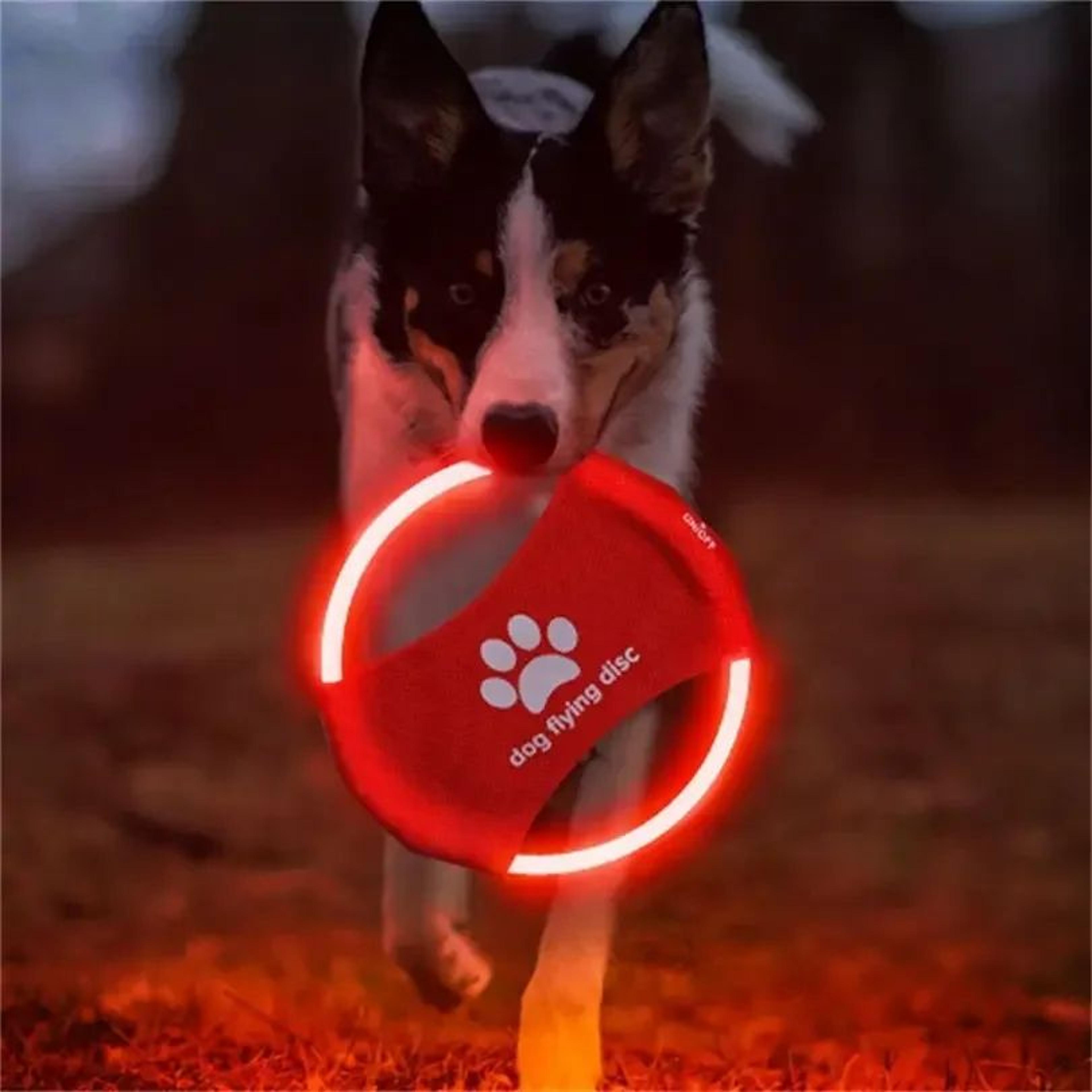 rechargeable led flying disc dog toy interactive light up fetch training disc