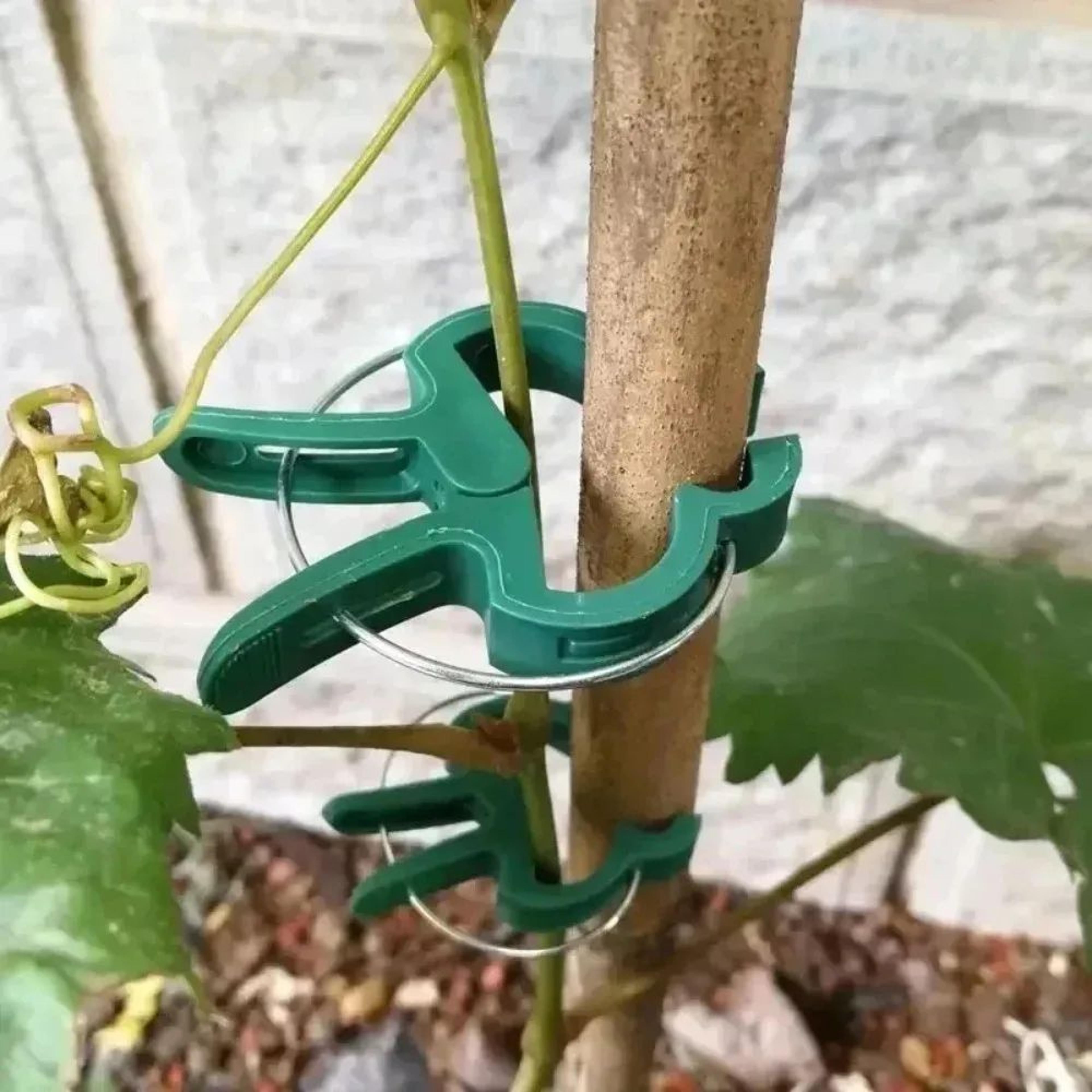 reusable plant support clips for tomato vines and climbing plants