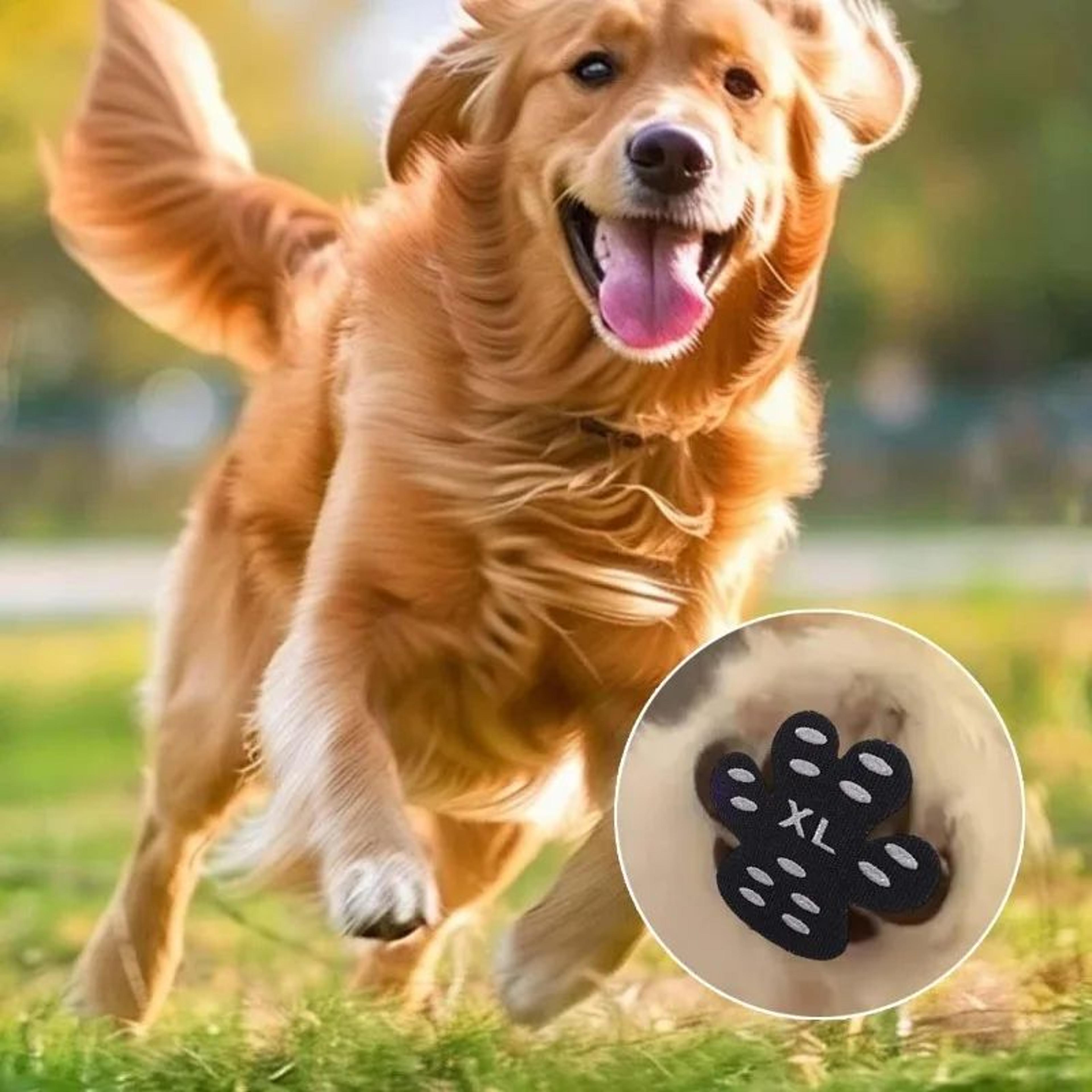 anti slip dog paw protectors self adhesive paw pads