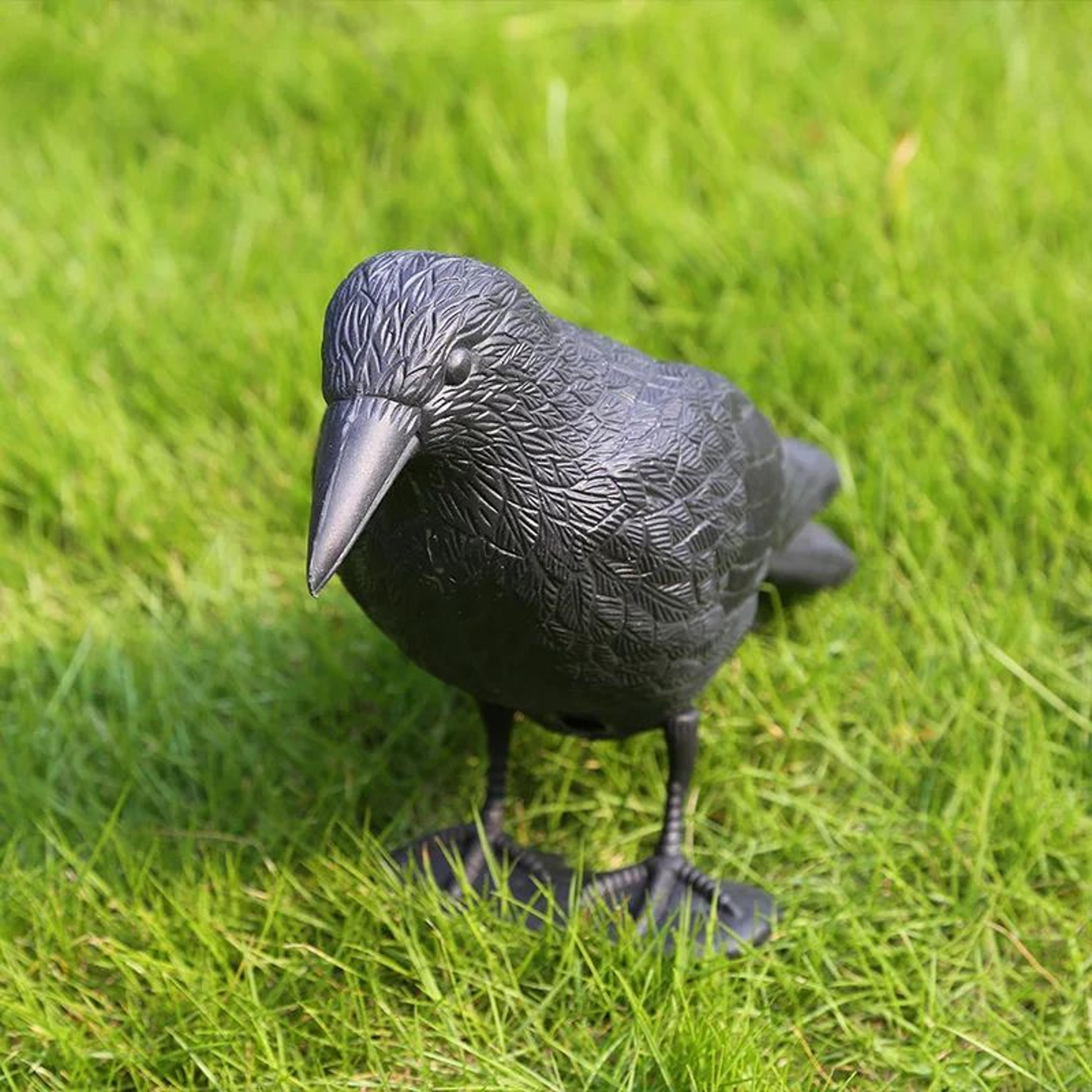 realistic black raven crow decoy