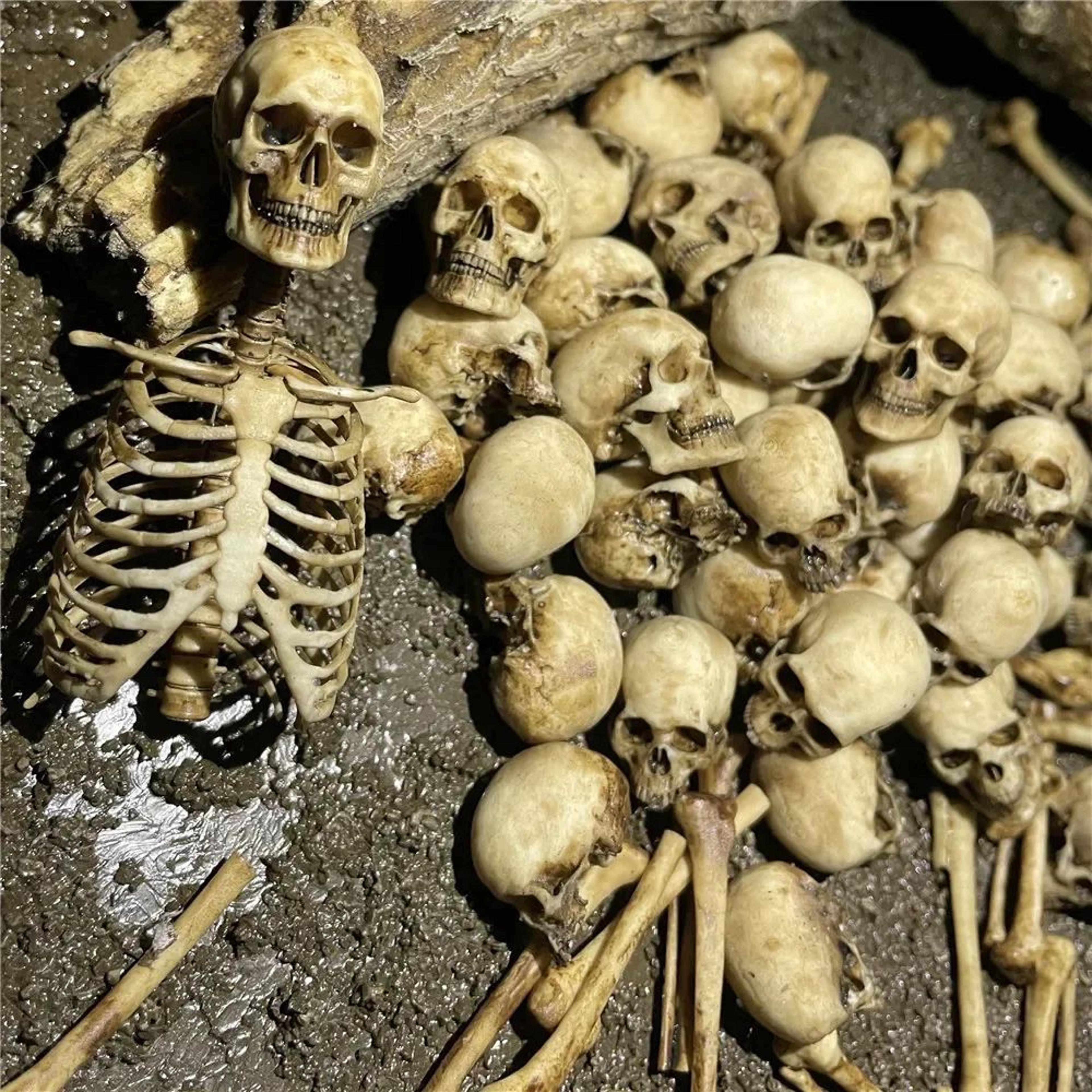 mini skeleton skull halloween model