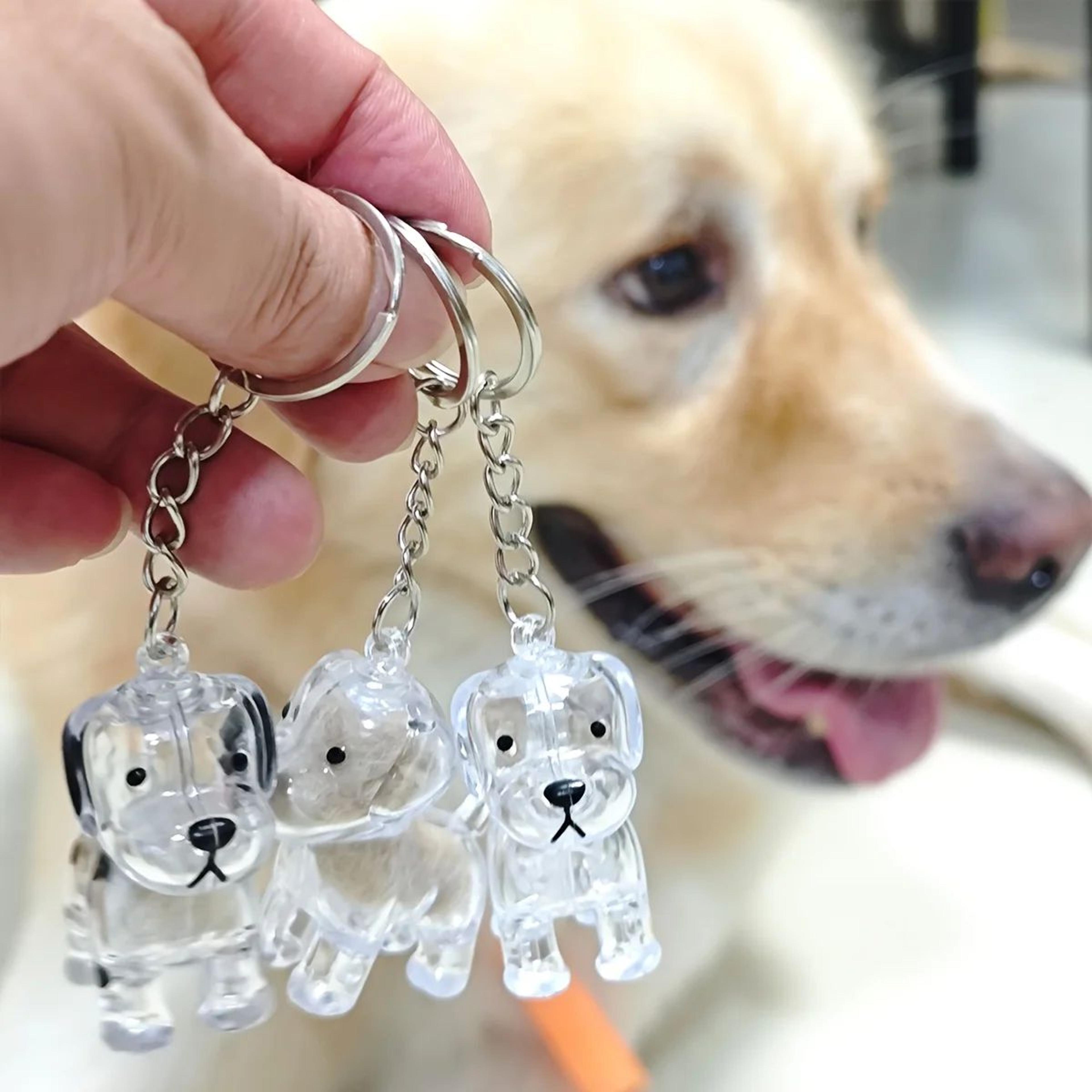 pet fur memory keepsake keychain