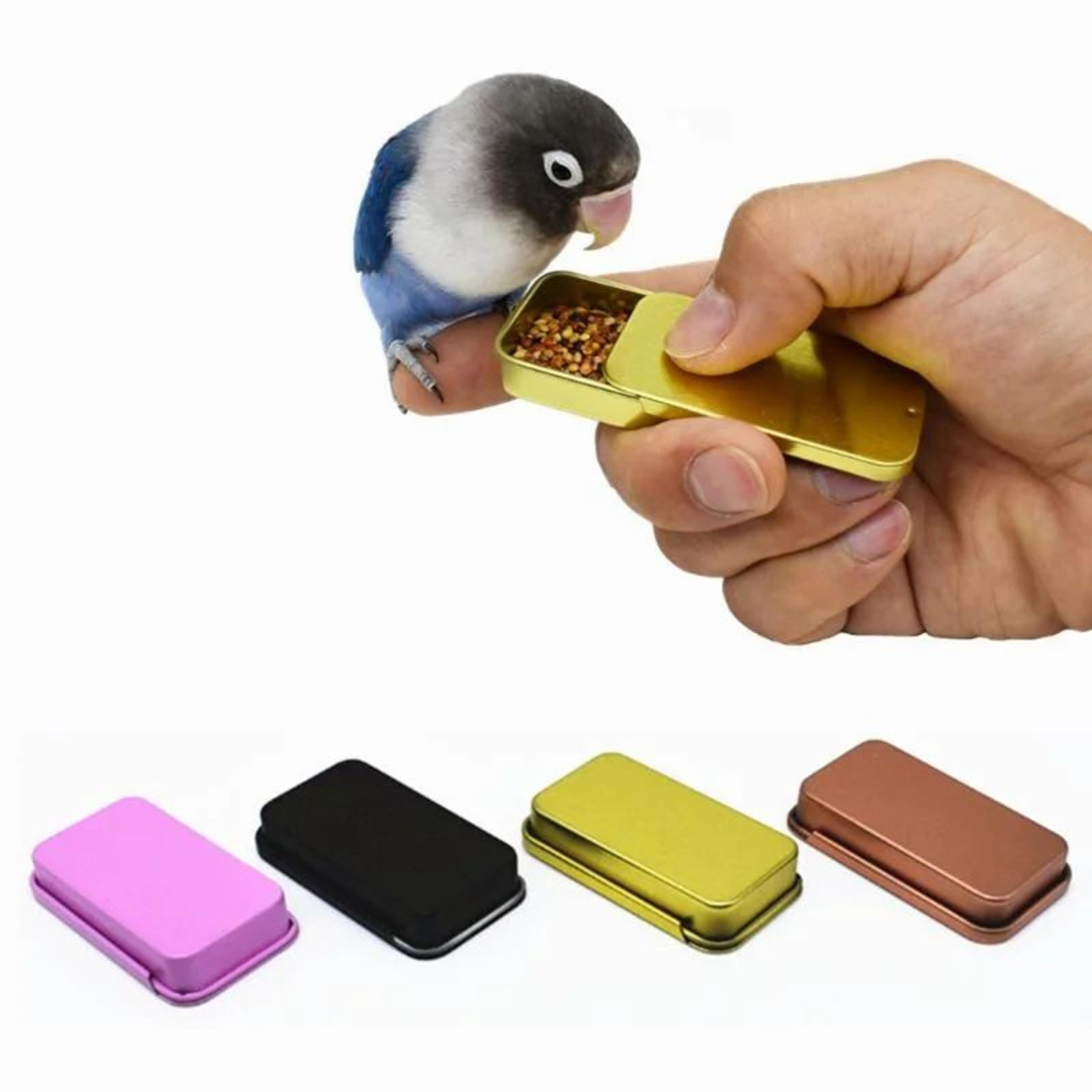 interactive parrot training food jar feeder