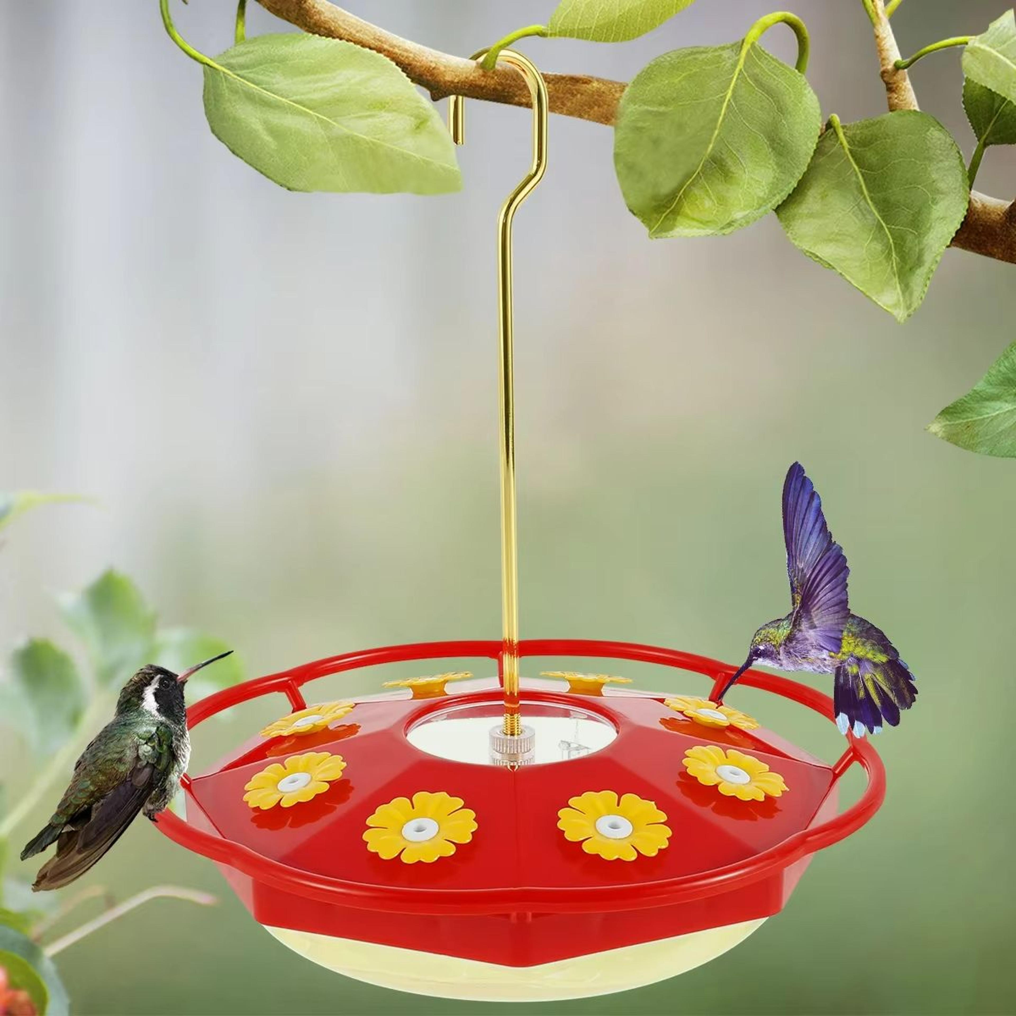 all season bee proof hummingbird feeder with ant moat and flower feeding ports