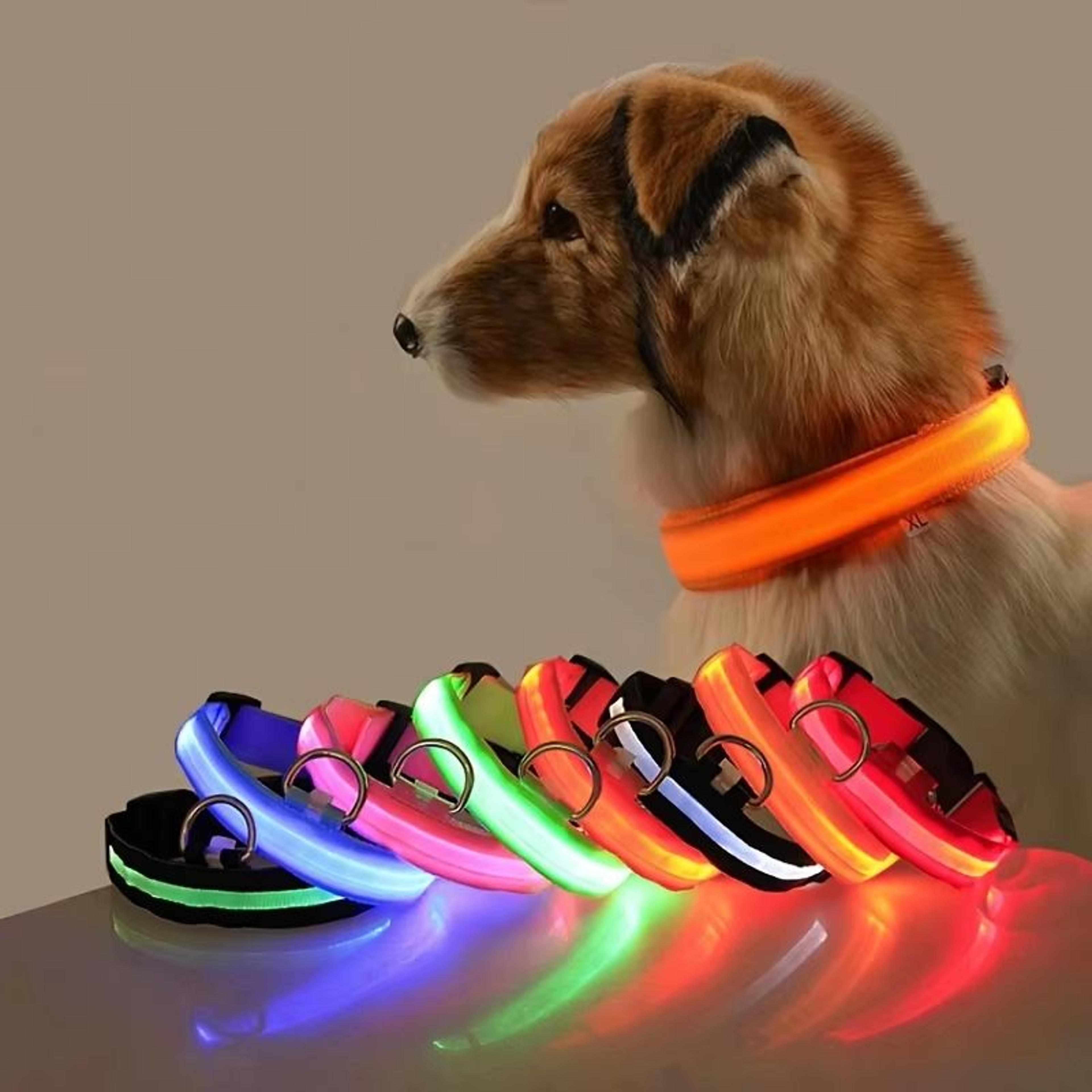 nylon led glow dog leash & collar set - night safety reflective light-up pet gear for walks after dark