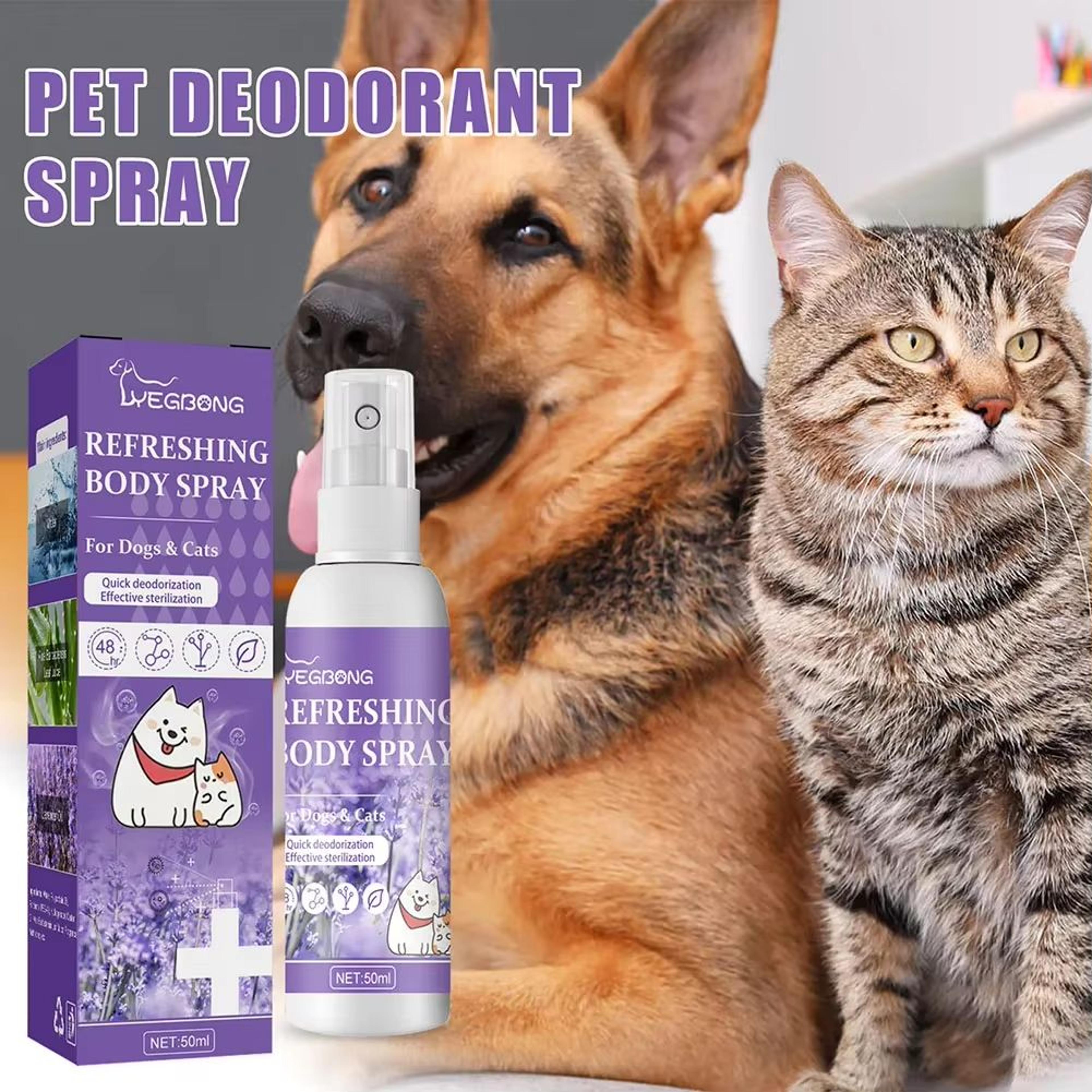 lavender bliss pet deodorizing spray – long-lasting dog deodorizer for fresh-smelling pets