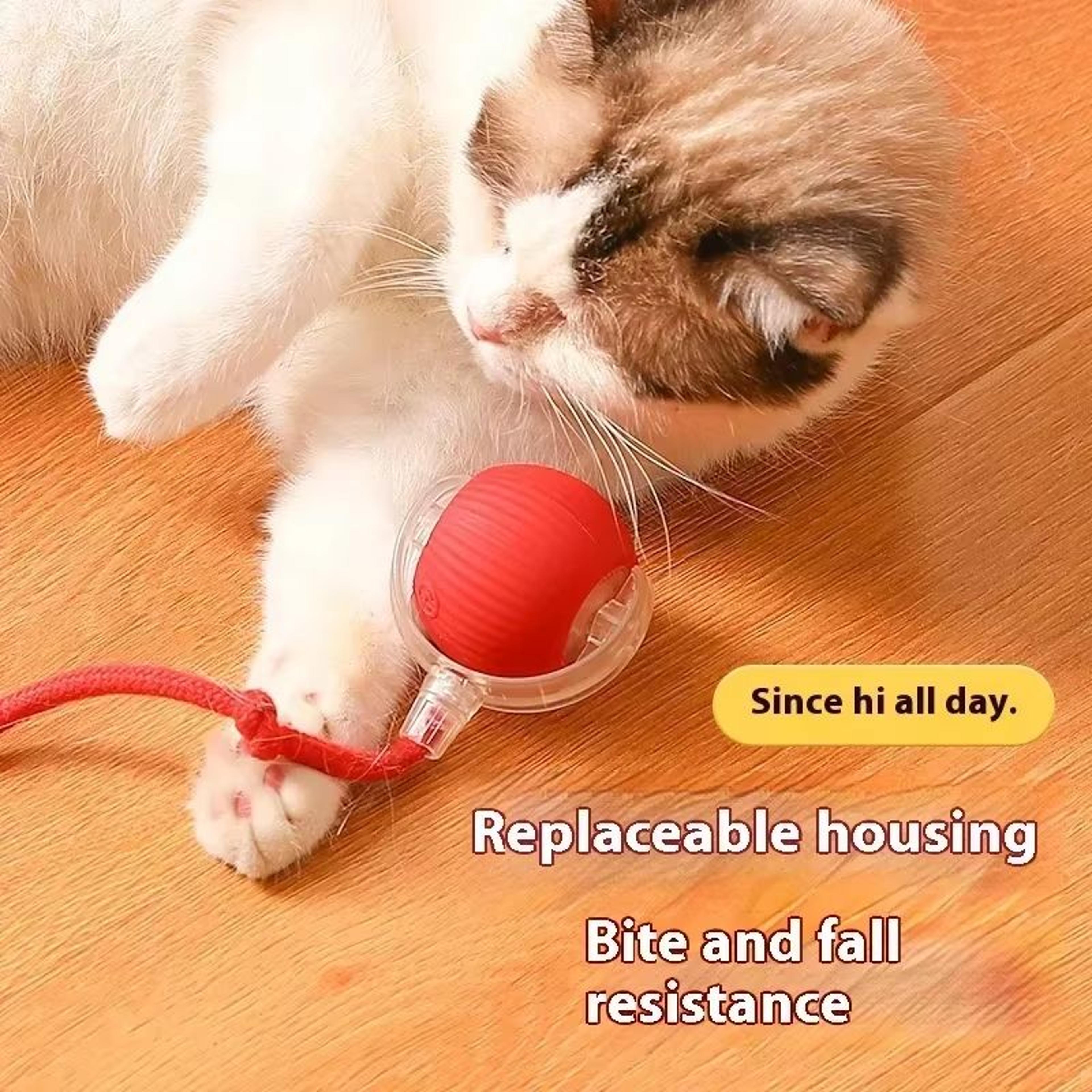 whiskerspin smart rolling toy ball – usb rechargeable auto teaser for cats & pets