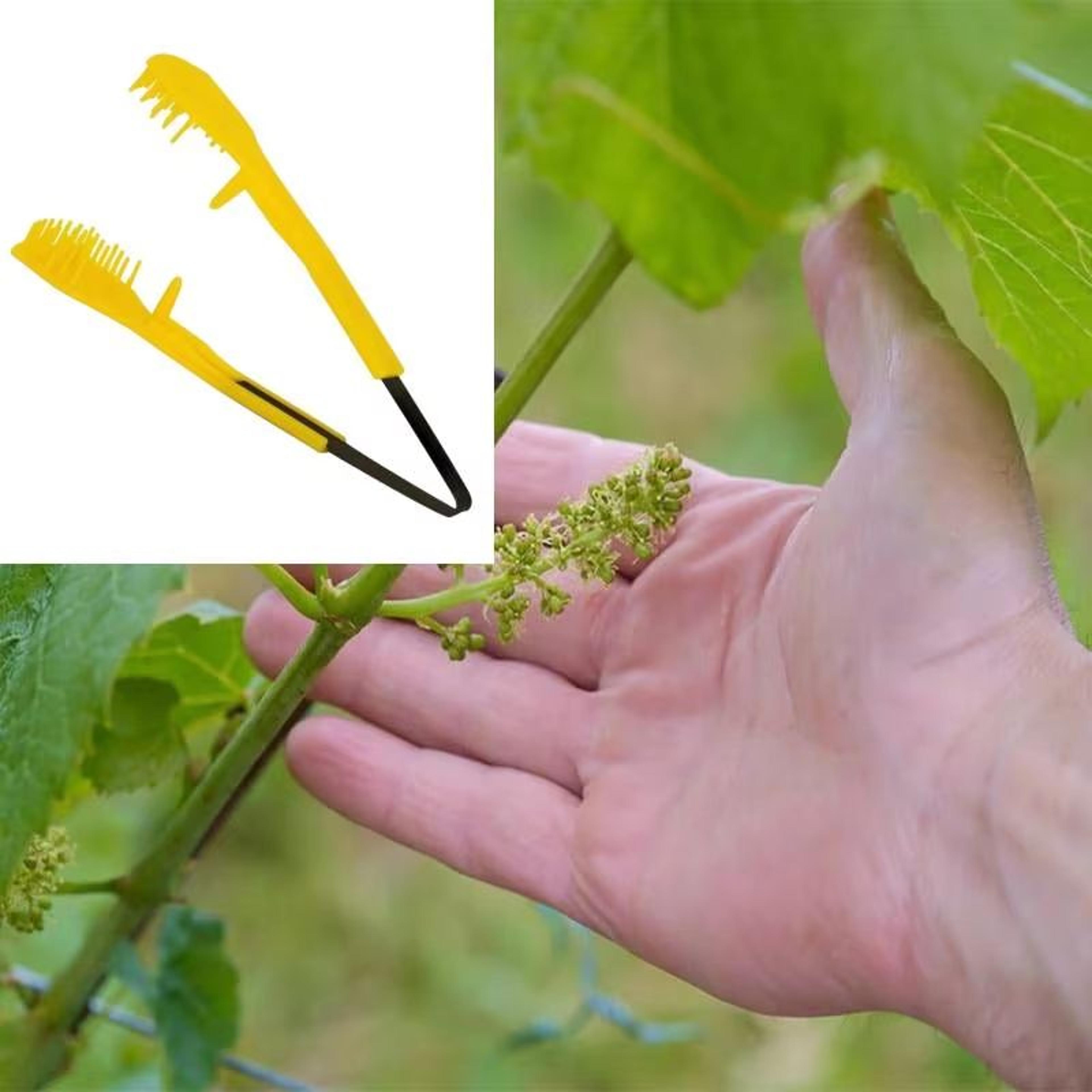 grapetrim 6.69 handheld pruning & thinning clip – precision bud-&-flower tool for grape vines