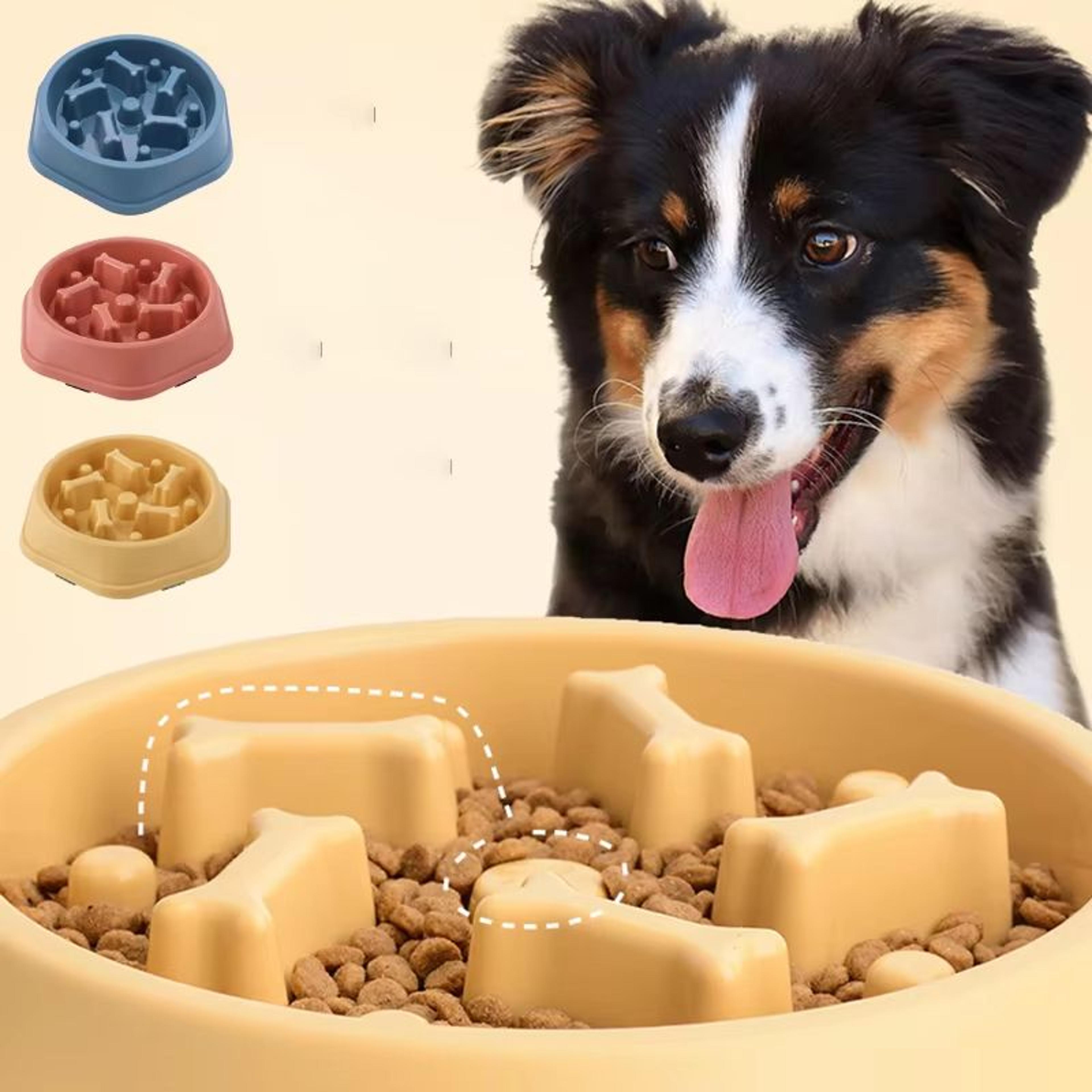 puzzle slow feeder dog & cat bowl – non-slip slow-eat pet feeding dish for small, medium & large breeds