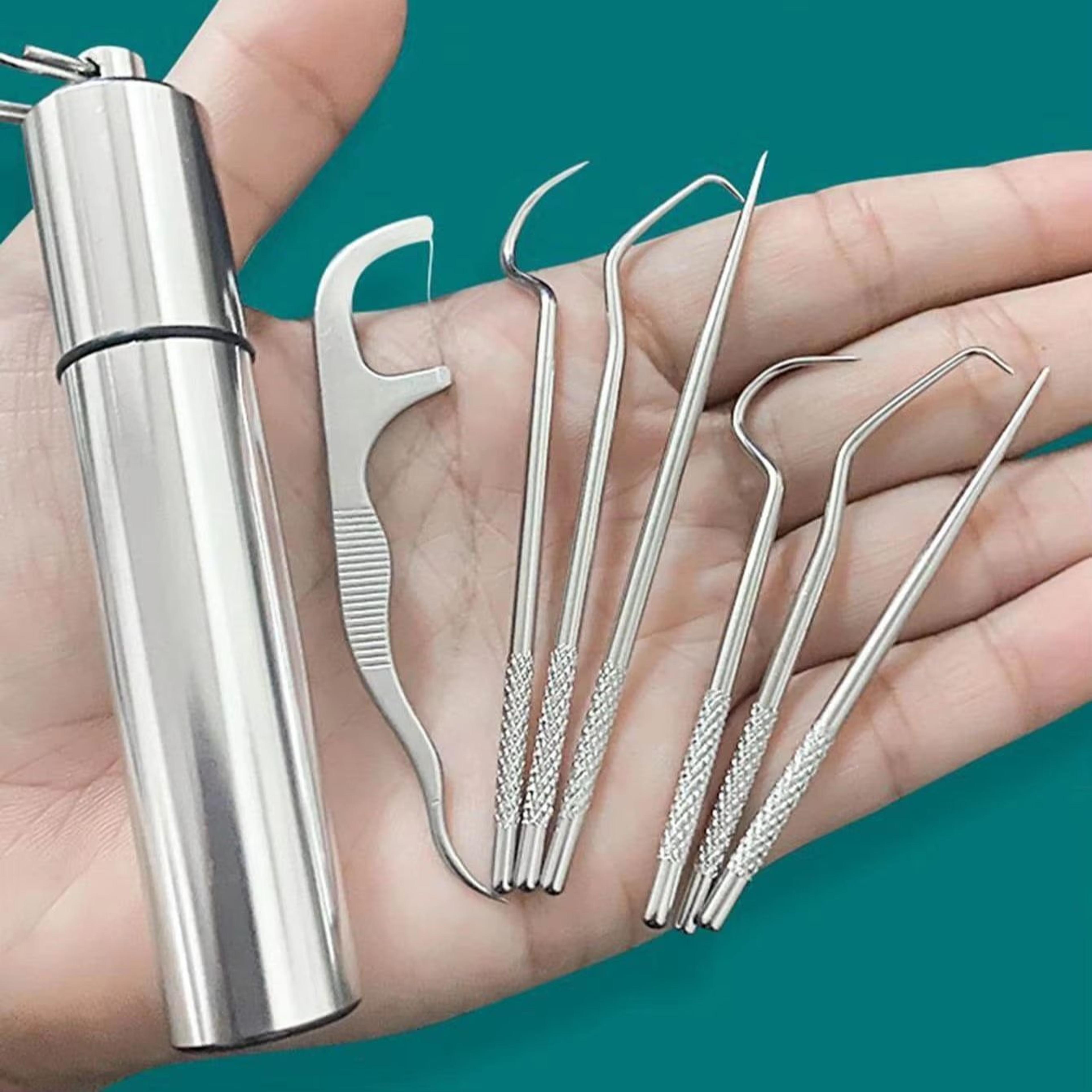 cleancarry stainless steel toothpick & flossing travel set