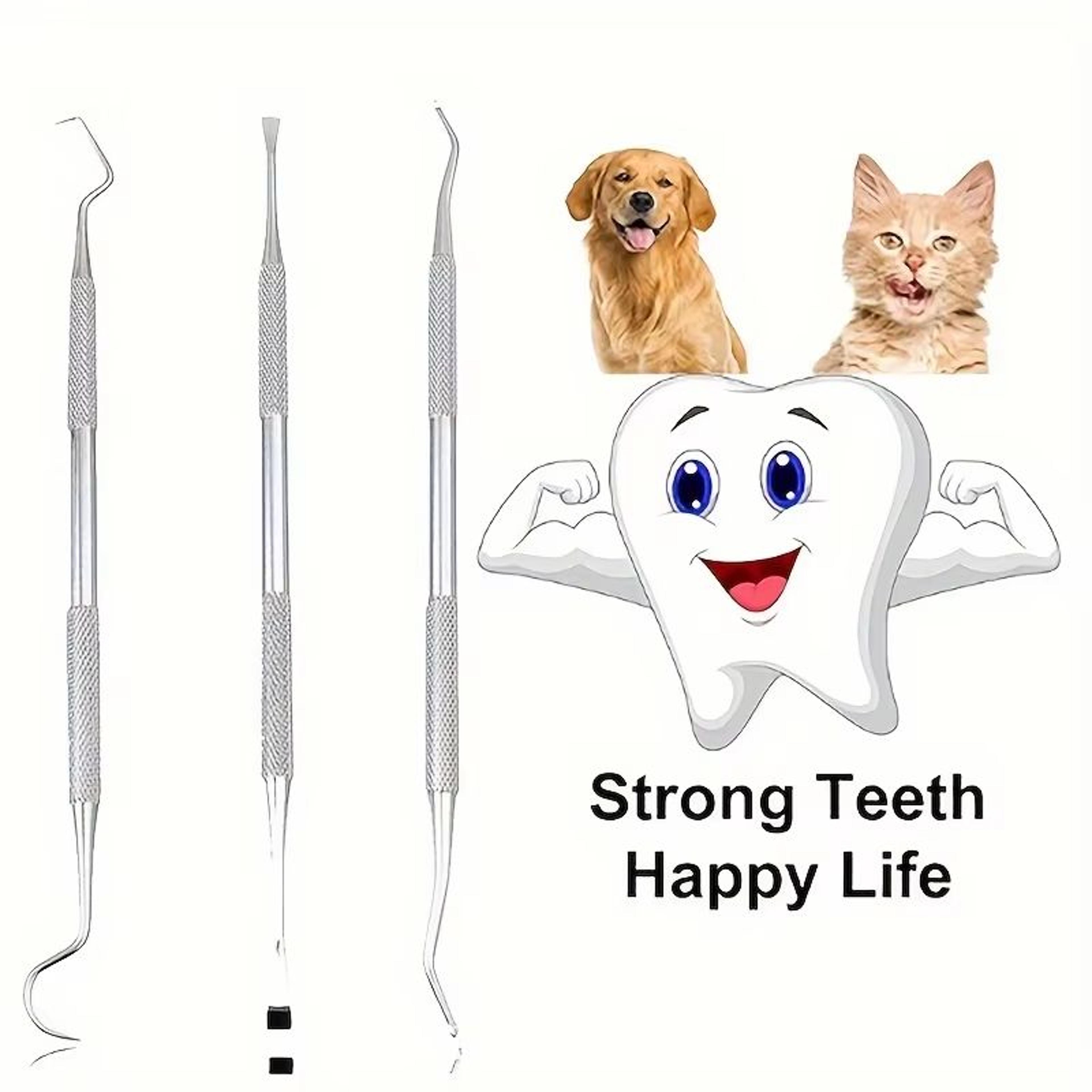 petpearl dental hygiene kit for dogs & cats – stainless steel plaque and calculus remover set