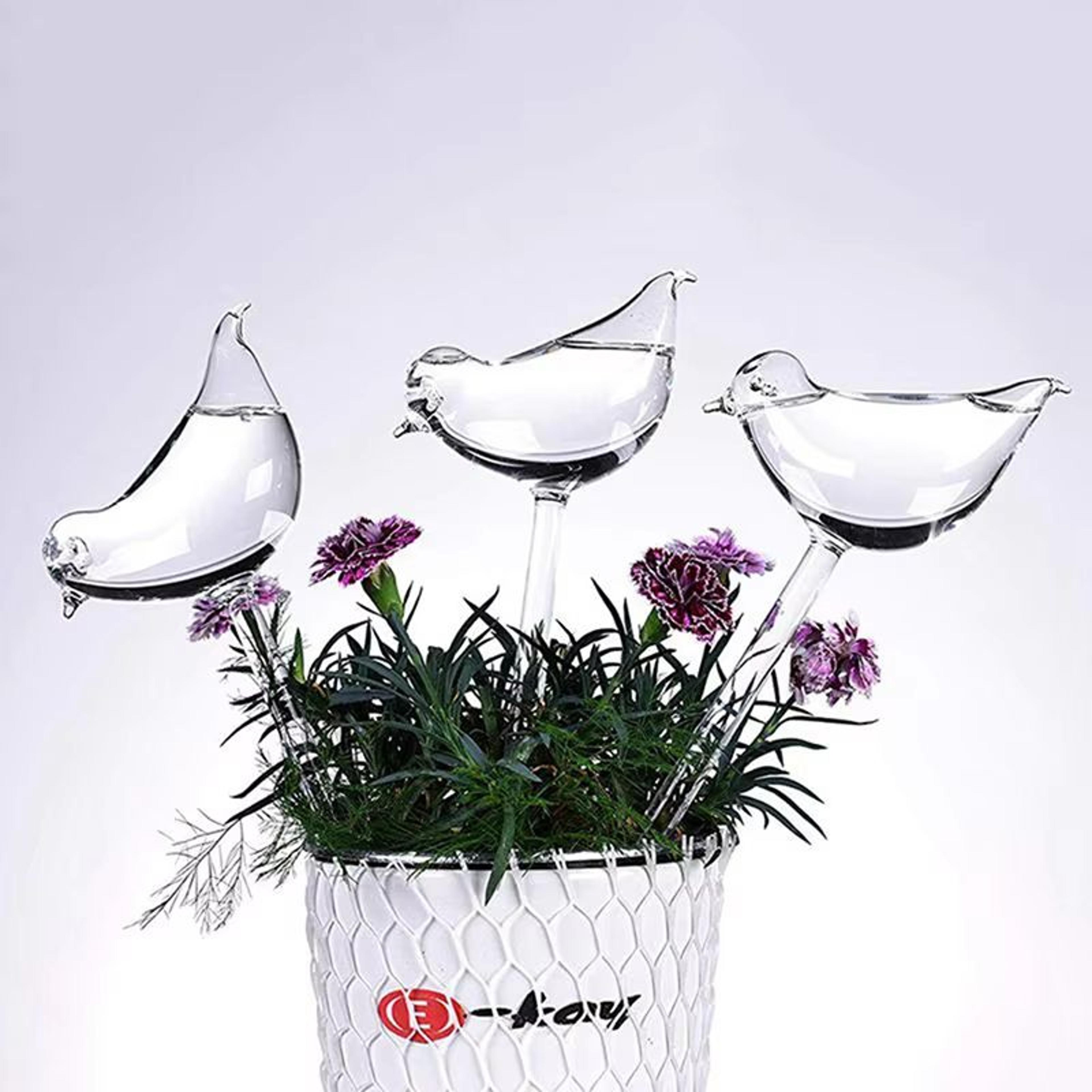 bird-shaped self watering globes hand-blown clear glass aqua bulbs for indoor and outdoor plants