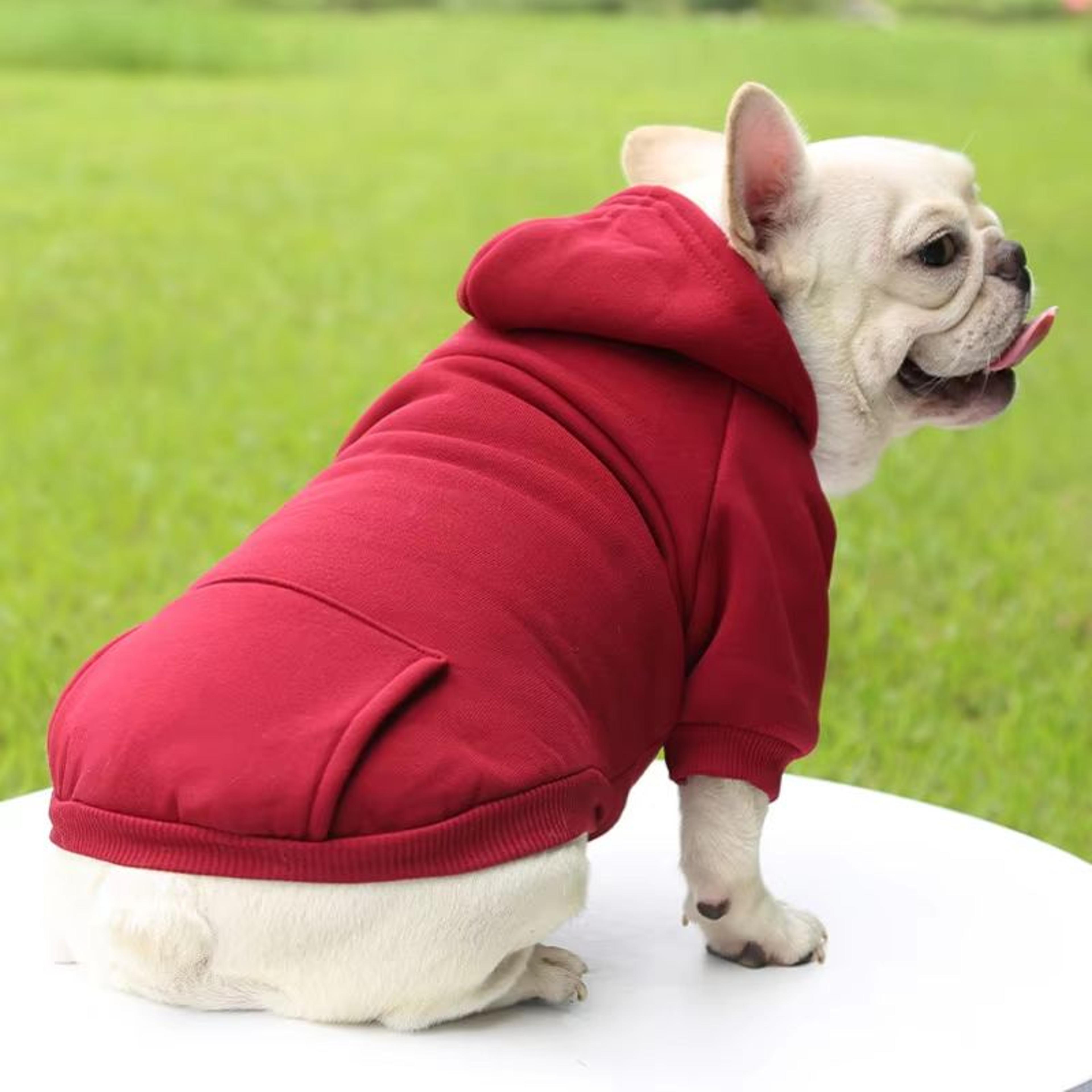 fashion dog hoodie for autumn and winter – thick warm pet clothes for small dogs