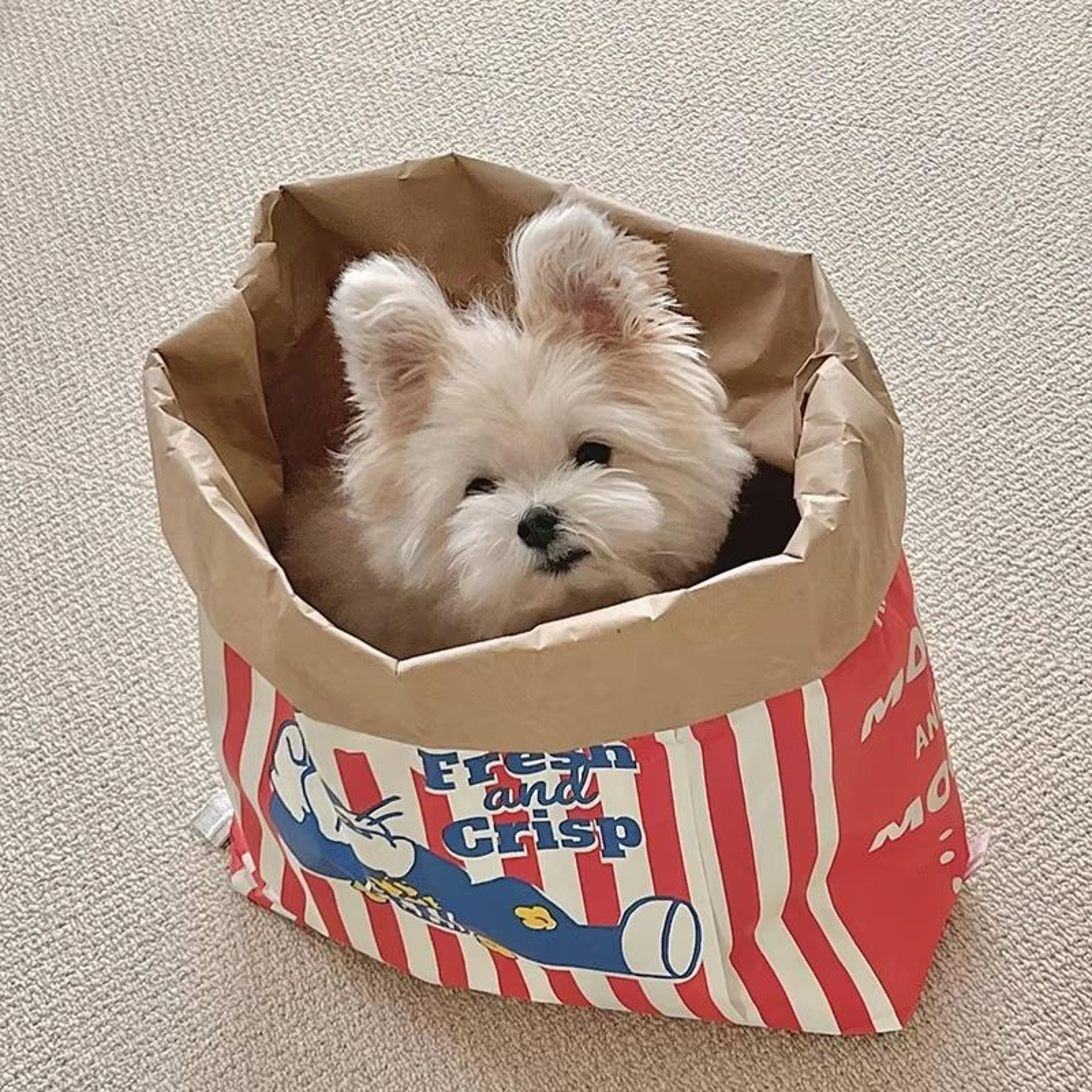 creative cute hidden food pet chew toy – popcorn kraft paper puzzle sound toy for cats & dogs