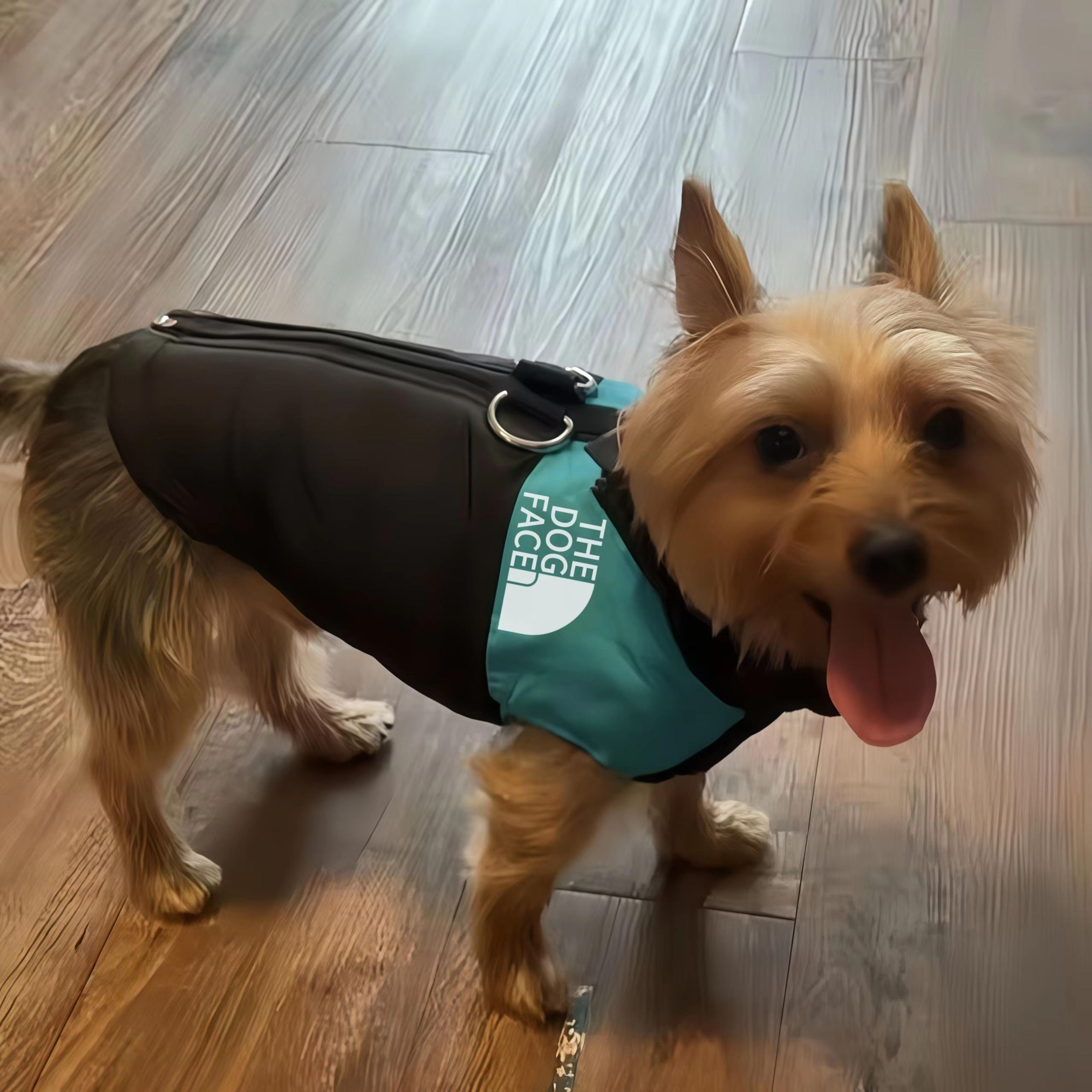 winter outdoor dog hoodie sport coat for large breeds