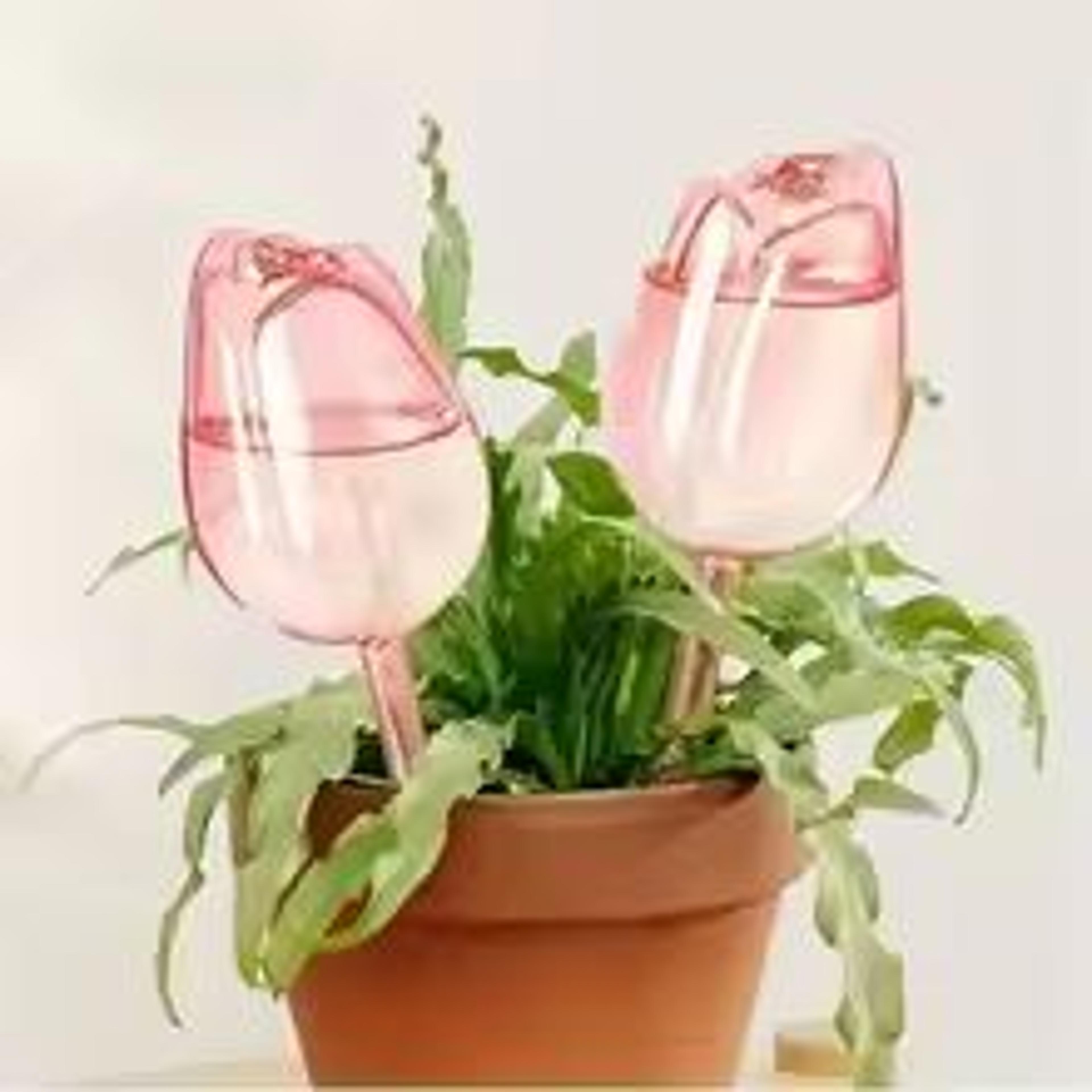 pink tulip automatic plant watering balls for indoor and outdoor plants