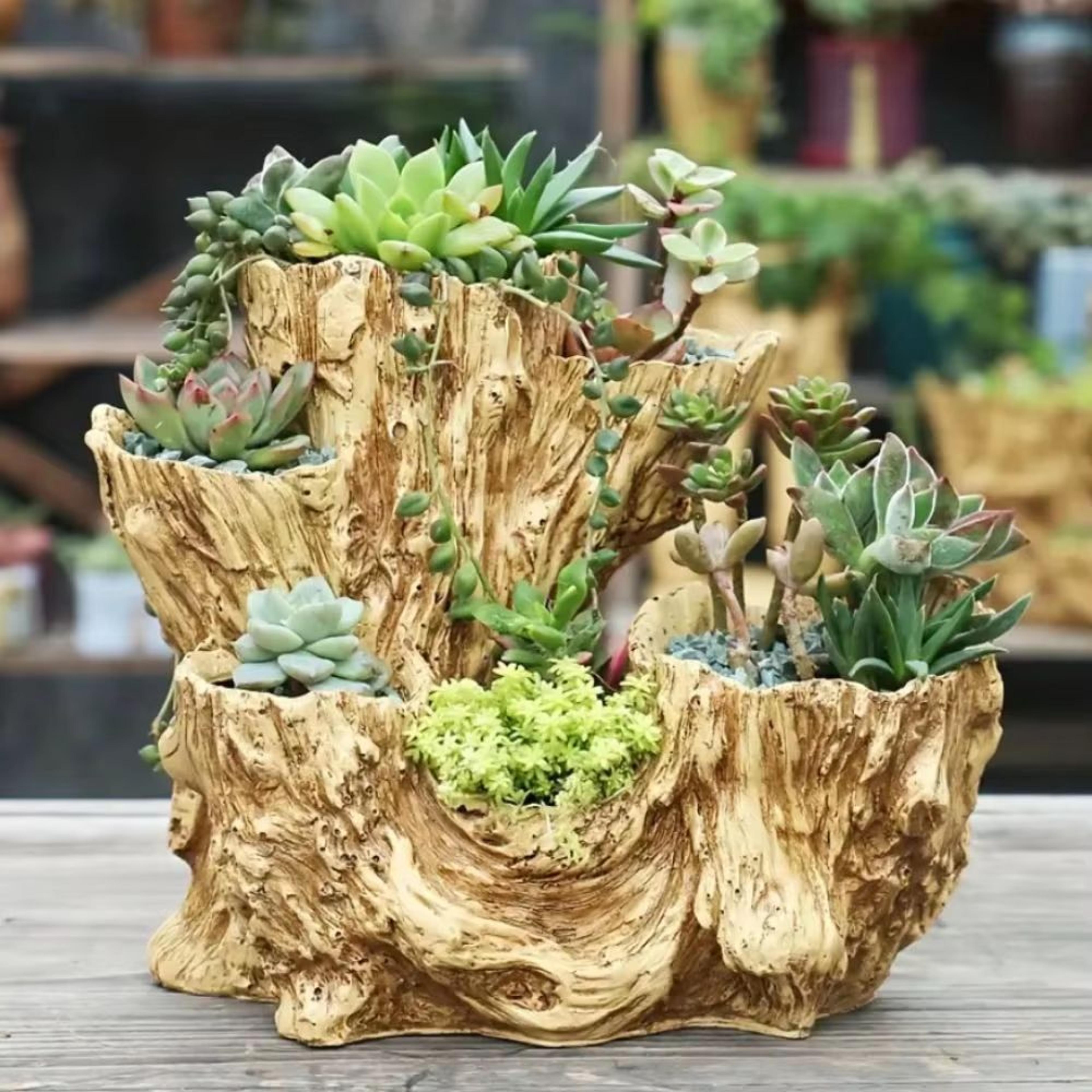 retro-style resin succulent flowerpot with drainage hole indoor outdoor planter