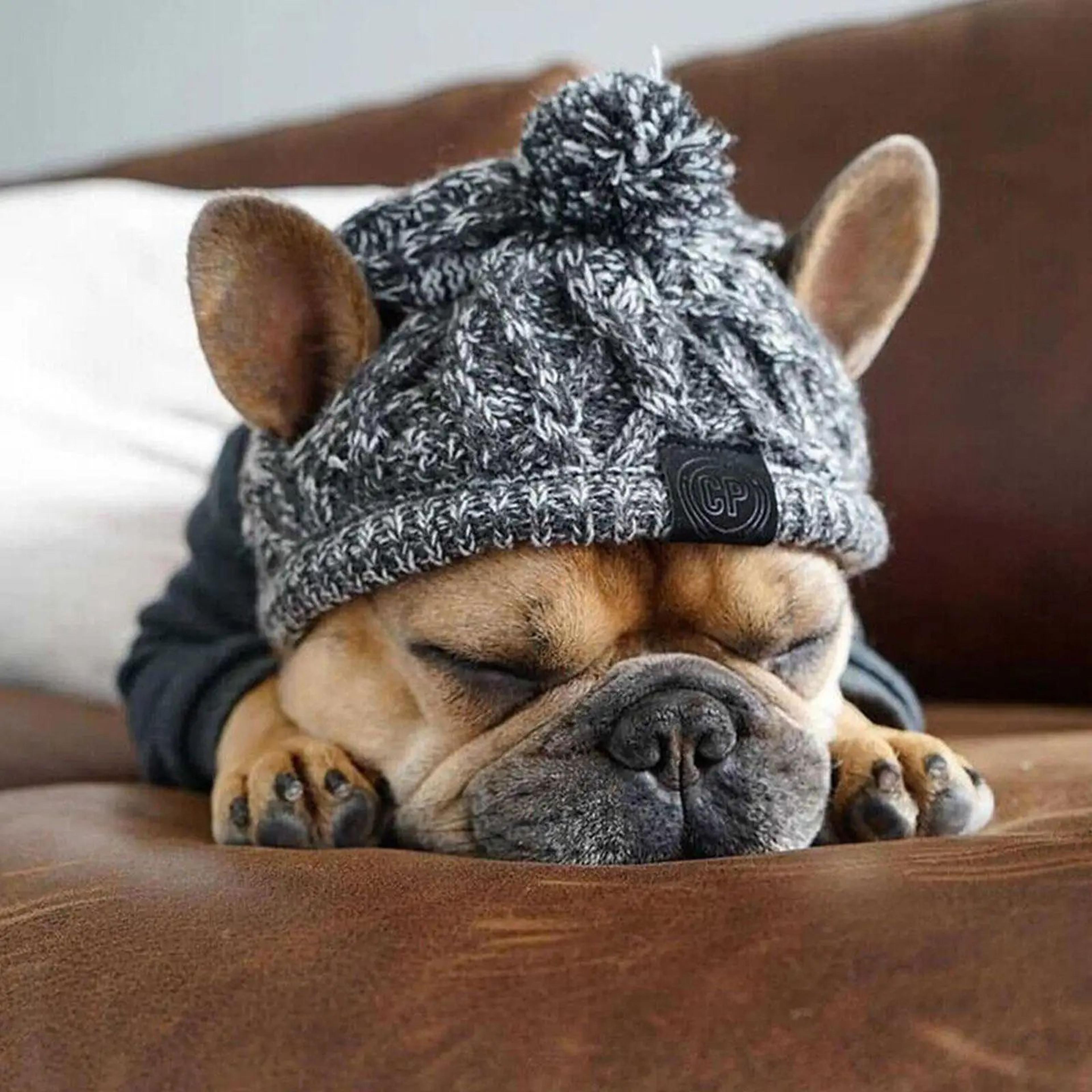 cozypaws windproof knitted winter dog hat with fluffy pom pom