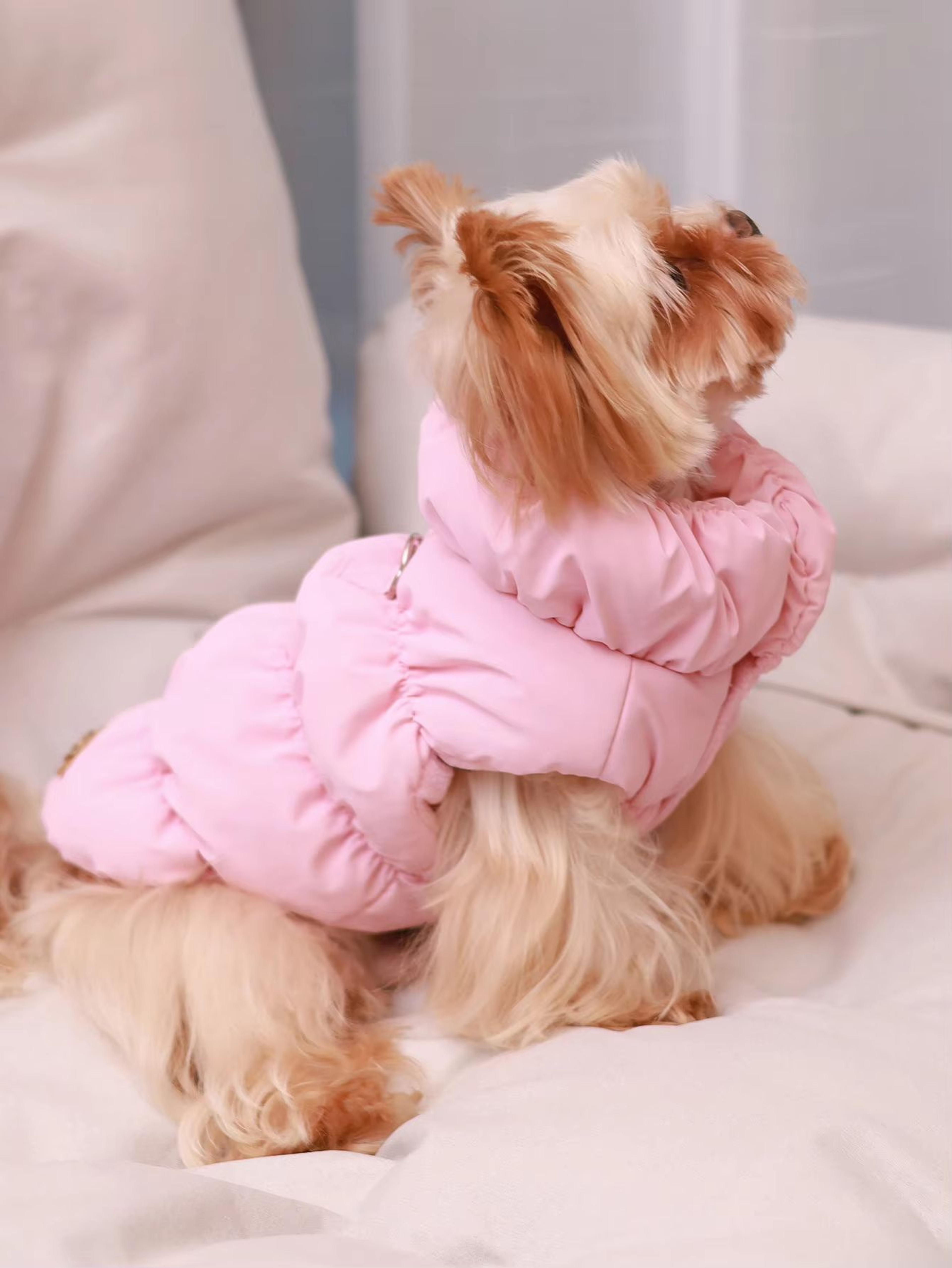 cozyshield 3 layer dog jacket for small and medium dogs