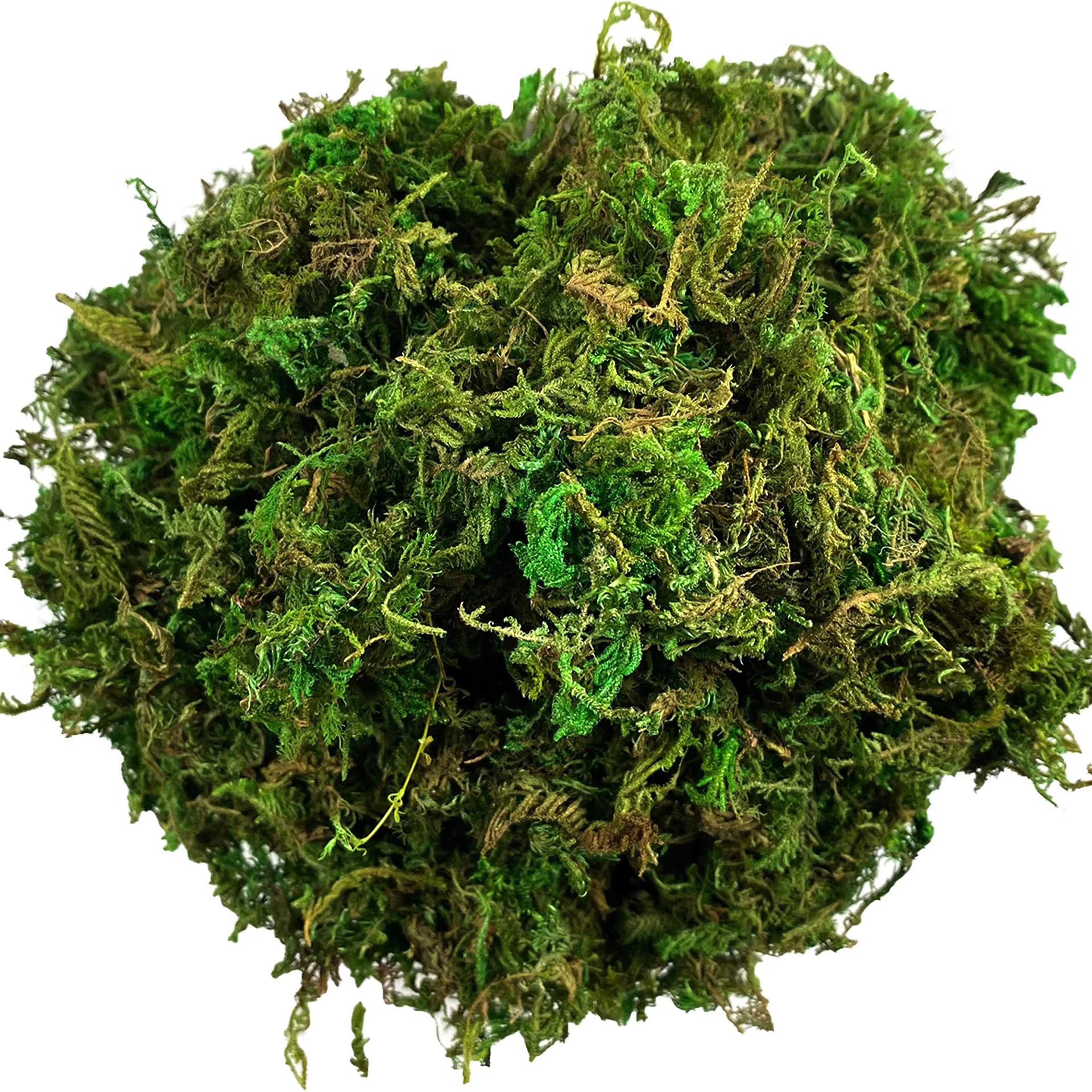 artificial green moss for potted plants and orchid decor