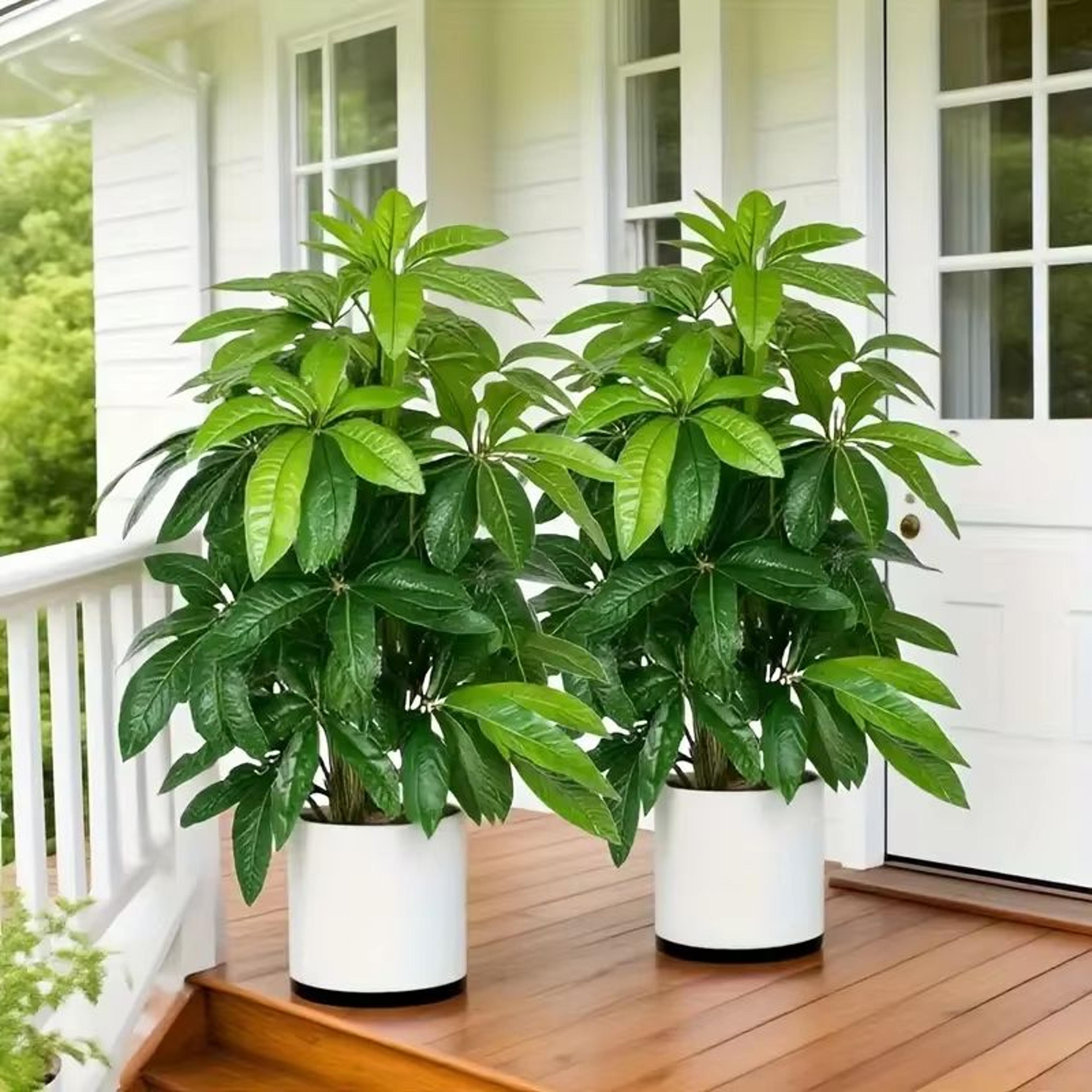 large artificial money tree palm – realistic tropical plant for outdoor & indoor decor